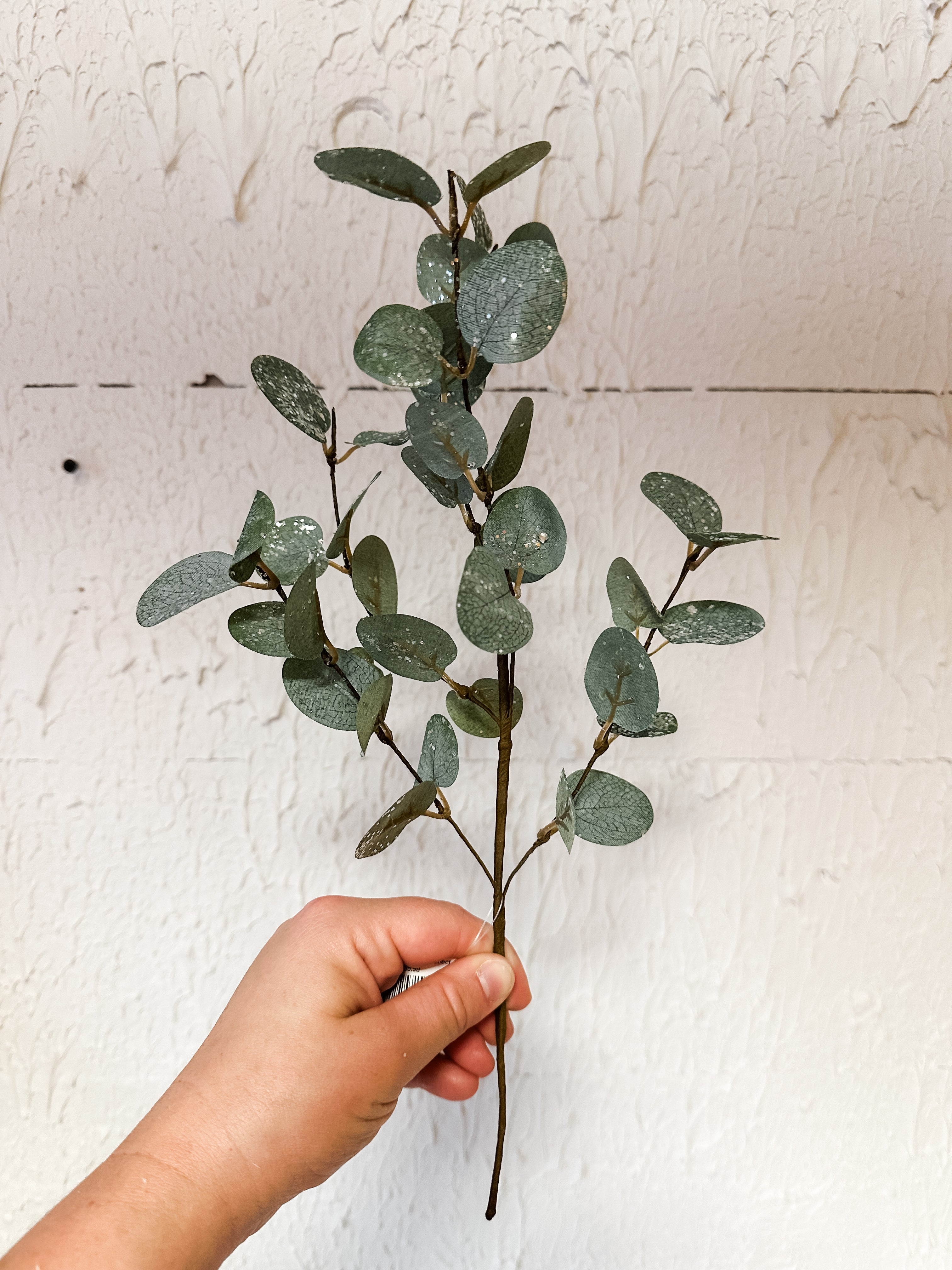 14 inch crisp air eucalyptus pick with frost effect at The Rustic Barn in Killingworth CT