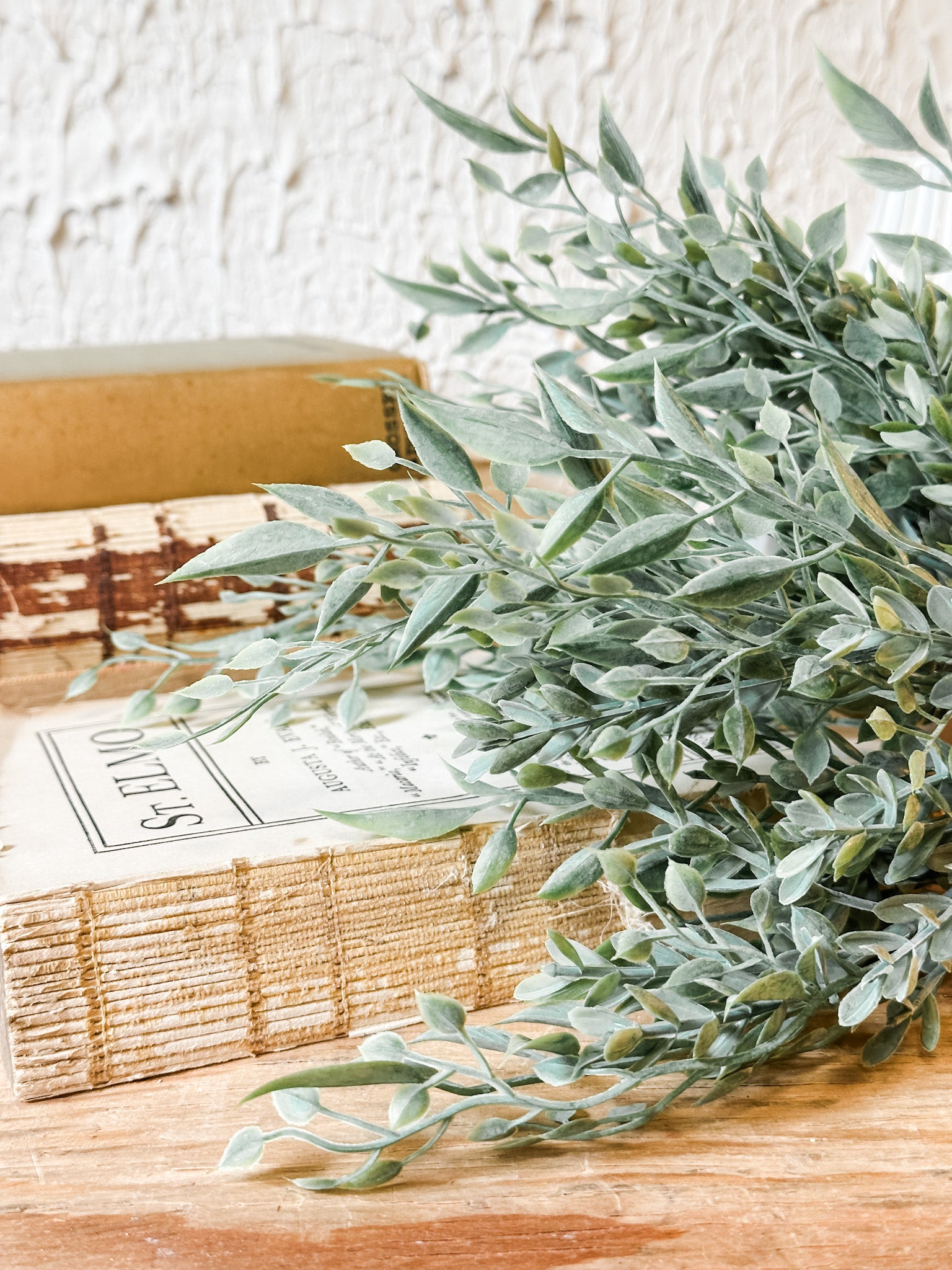 short faux baby tears green stem at the rustic barn in killingworth ct
