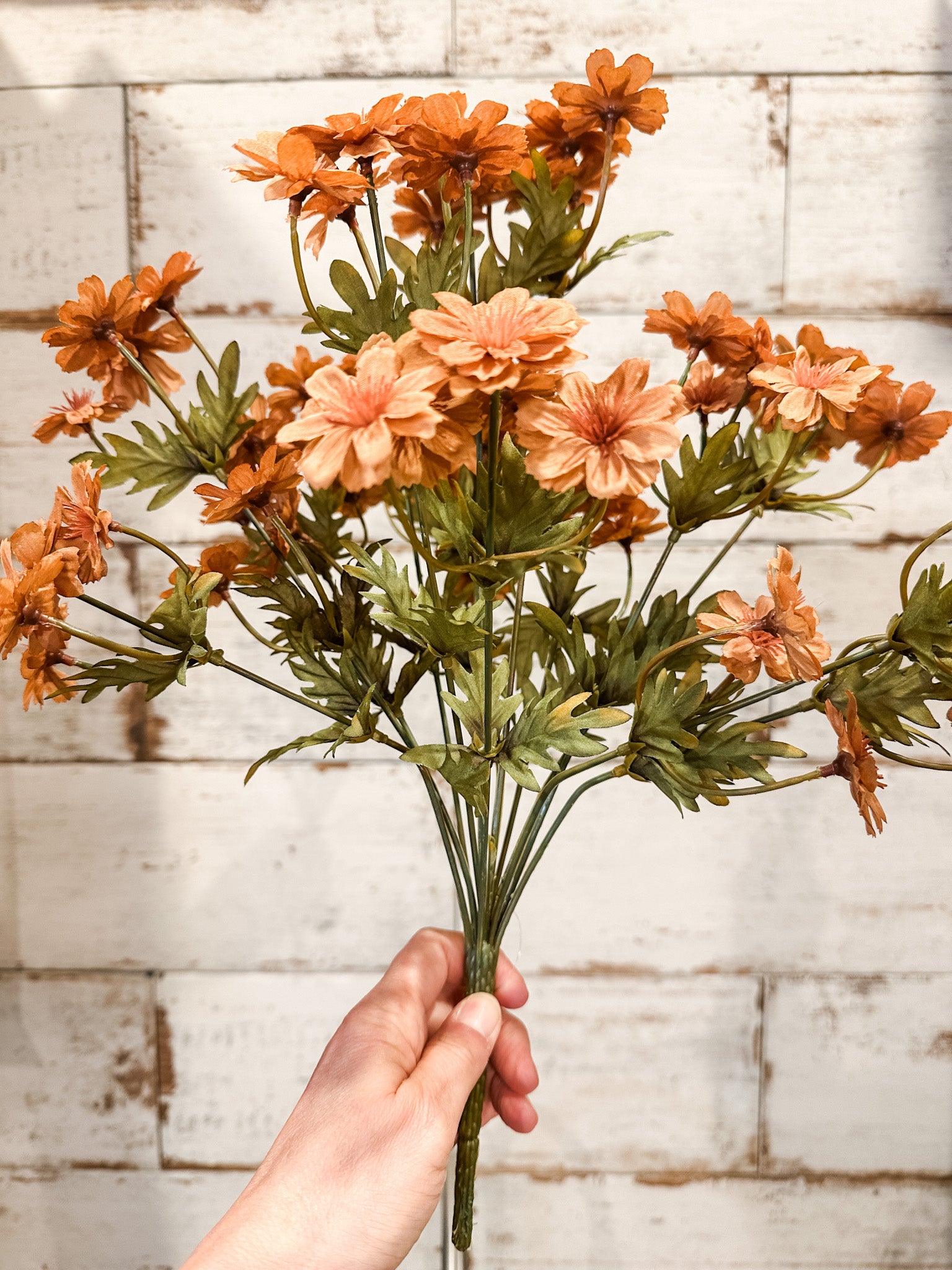 fall silk orange cosmos stem at the rustic barn in killingworth ct