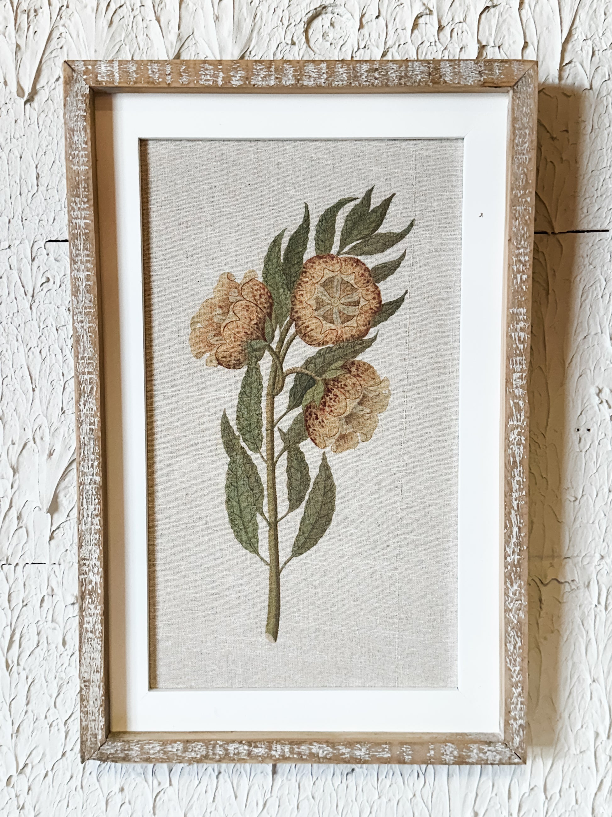 18" Framed Botanical Wall Art at the Rustic Barn in Killingworth, CT