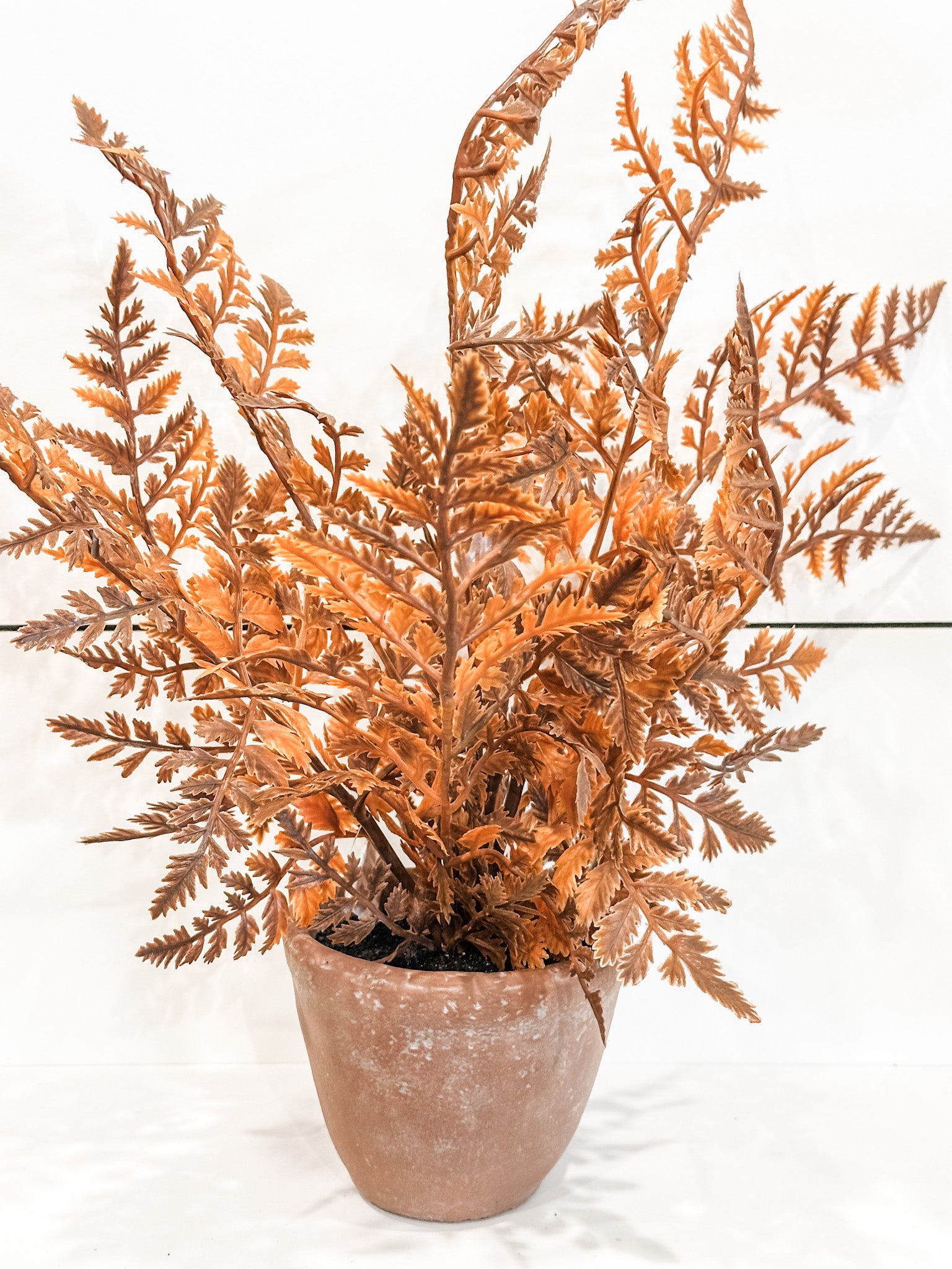 18 inch high soft touch golden color faux ferns in terra-cotta pot at the rustic barn in killingworth ct