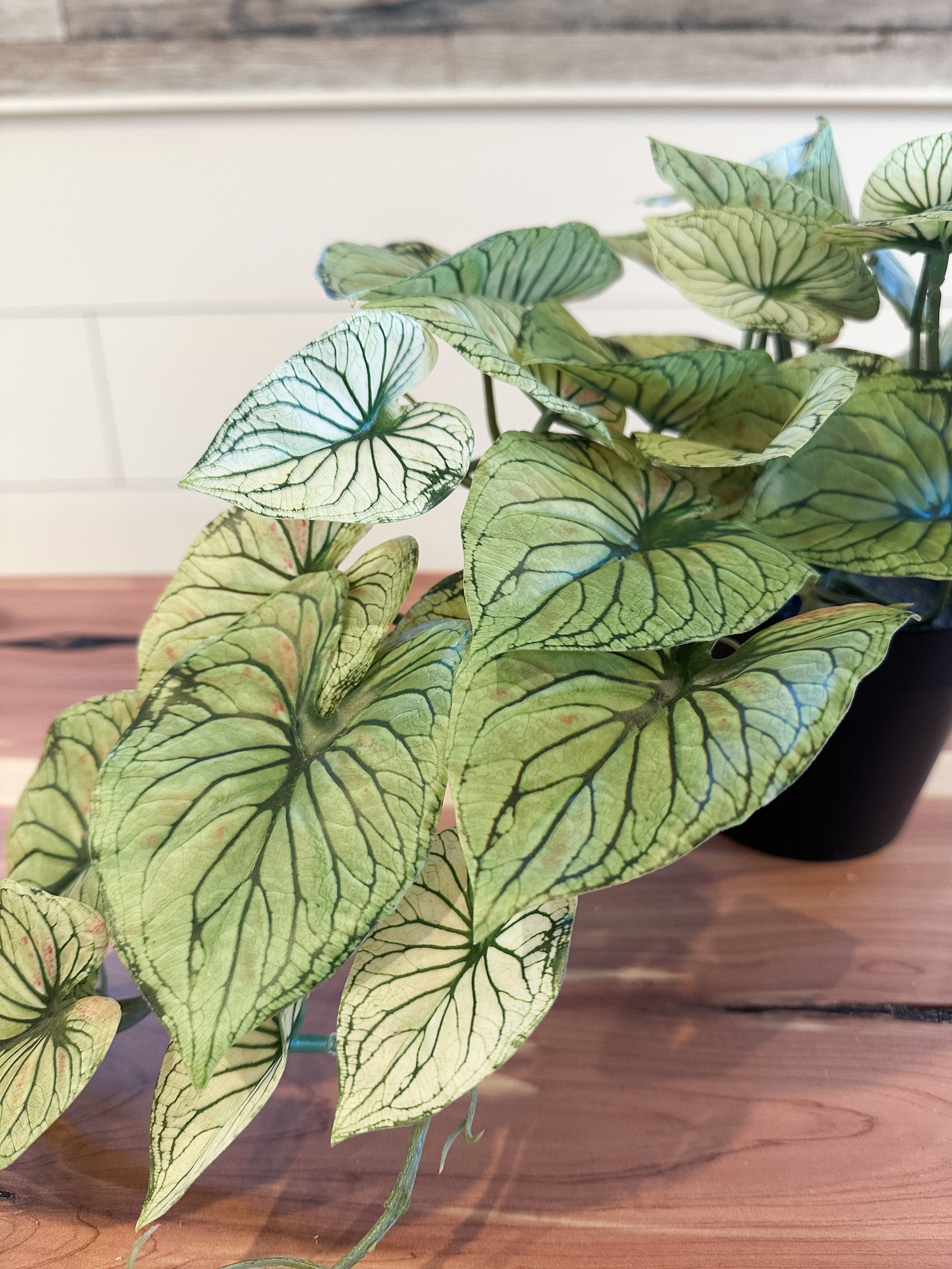 21" potted faux candidum caladium at The Rustic Barn in Killingworth CT