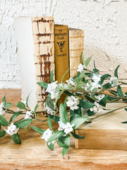 34 inch cream spirea stem at the rustic barn in killingworth ct