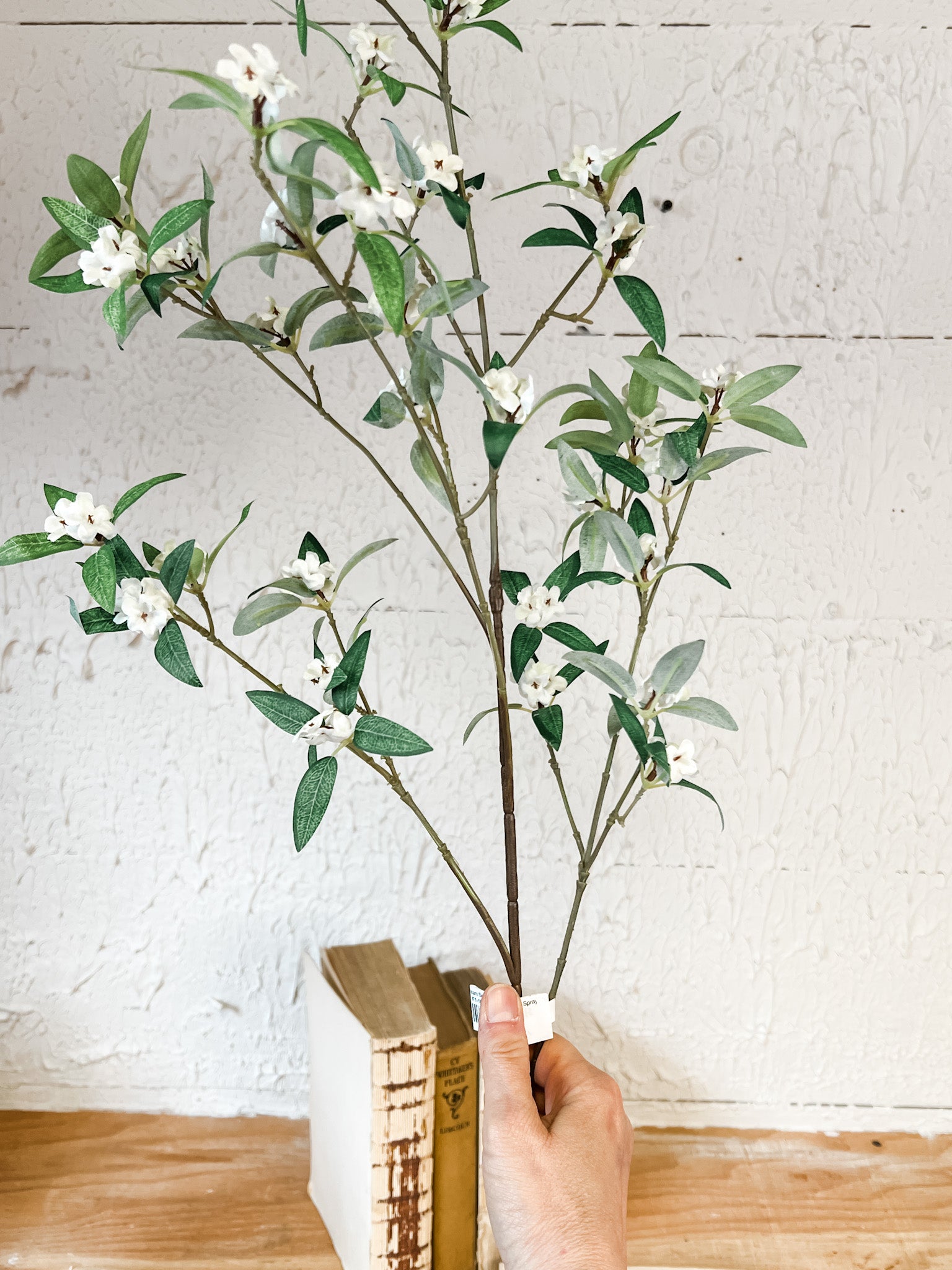 34 inch cream spirea stem at the rustic barn in killingworth ct