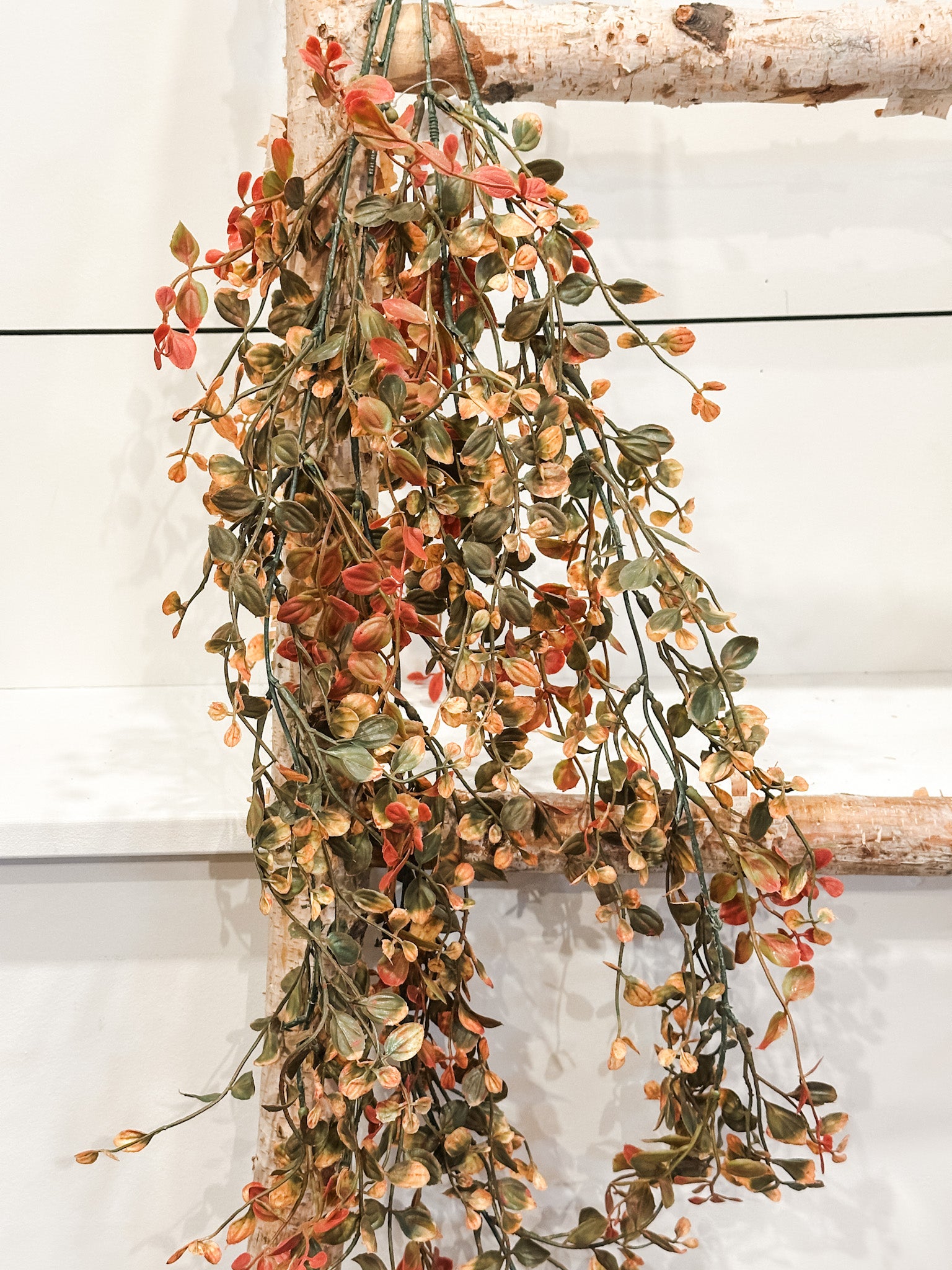 fall 34" long red and green bog pimpernel hanging bush at the rustic barn in killingworth ct