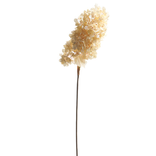 Faux Dried Cream Hydrangea Spray