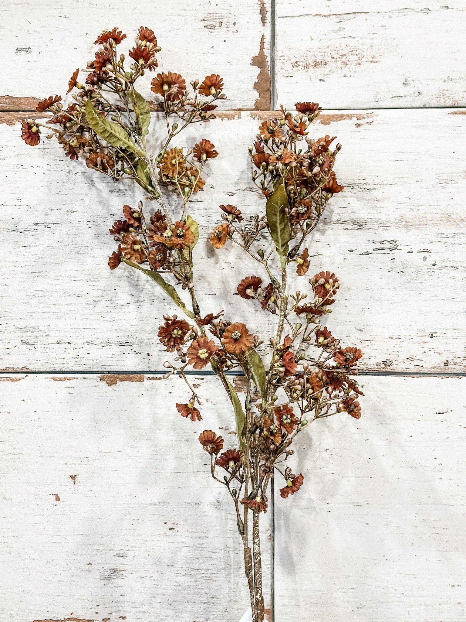 36 inch fall brown daisy spray stem at the rustic barn in killingworth ct