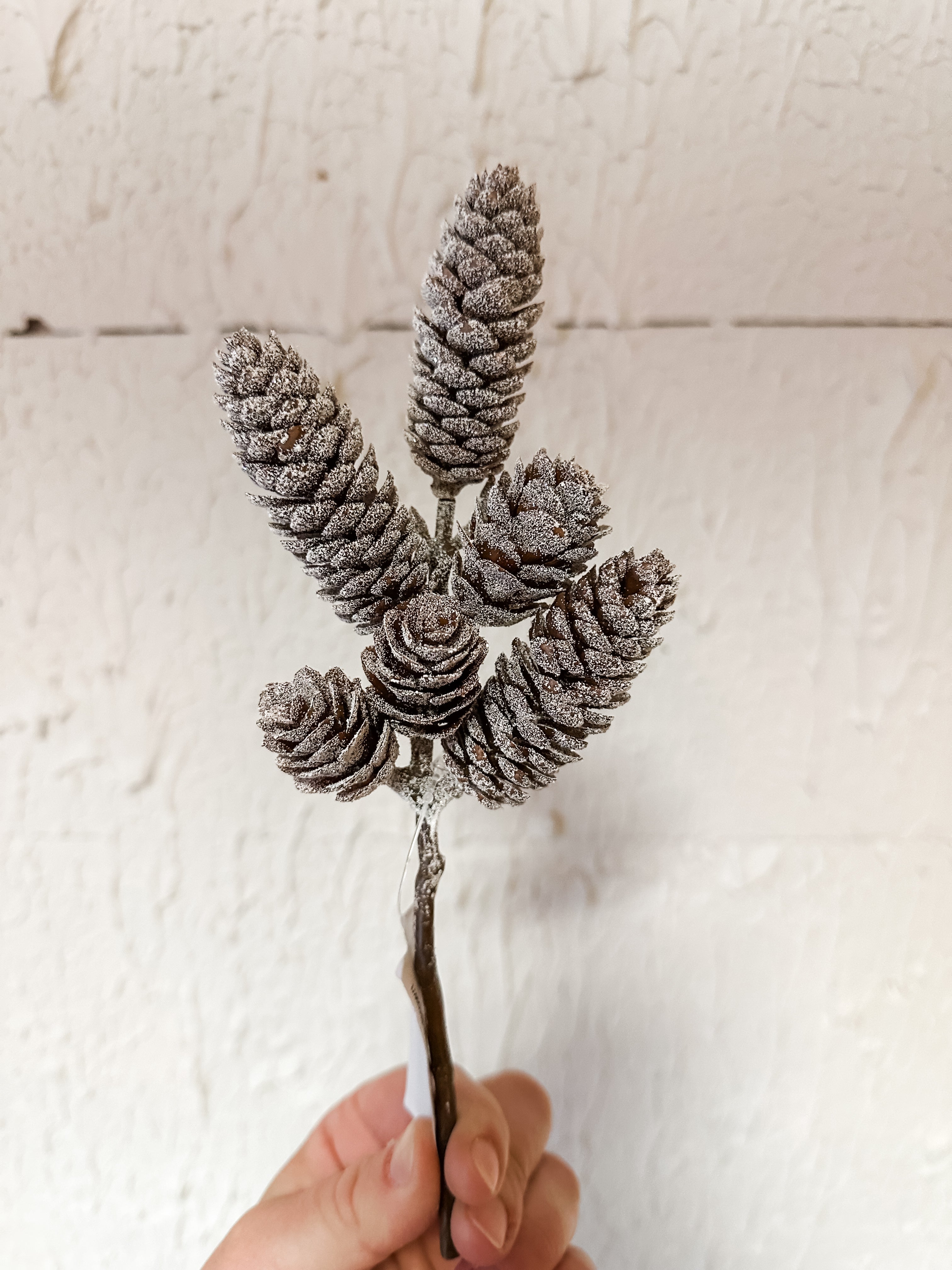 8 inch plastic iced pine cone pick at The Rustic Barn in Killingworth CT