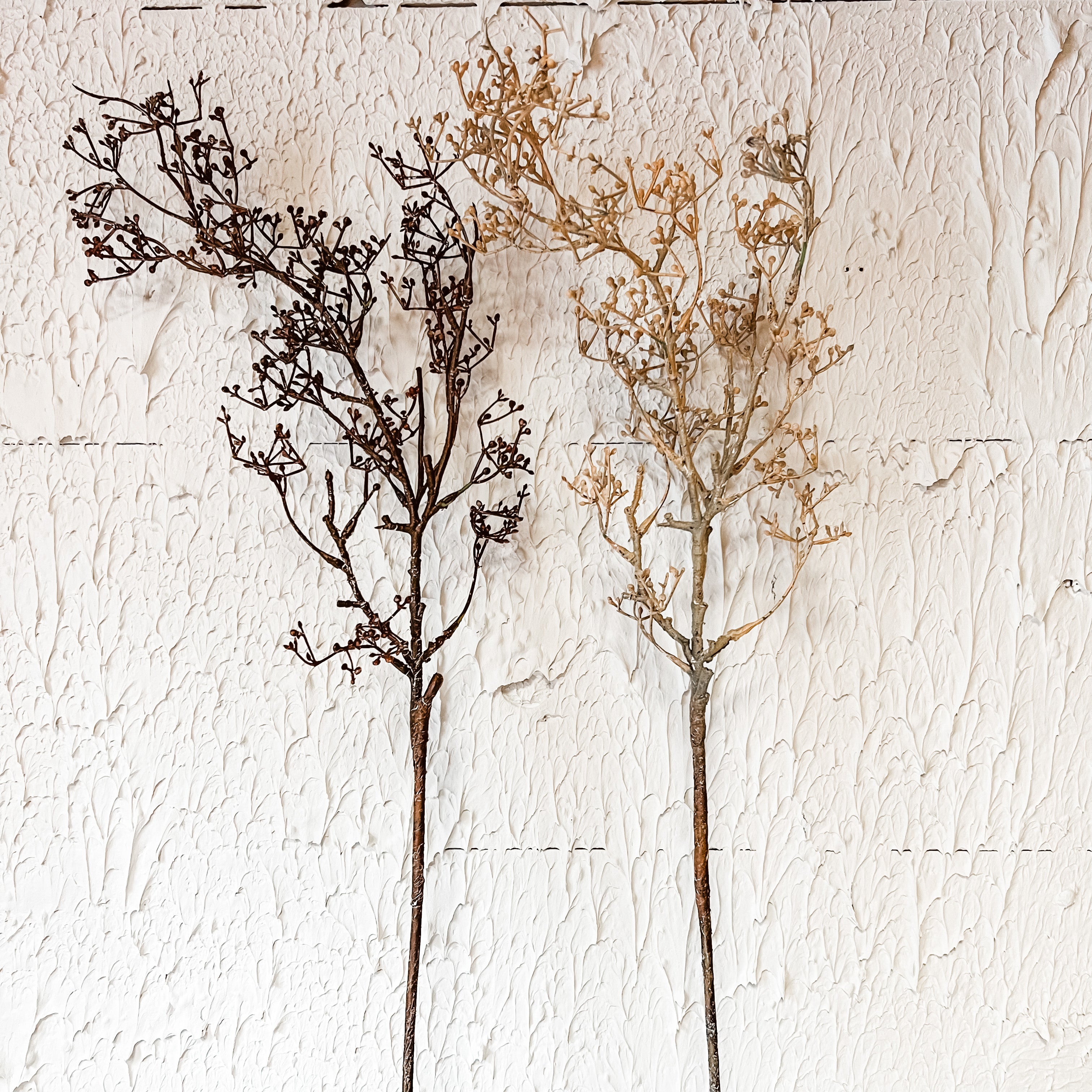 fall sedum spray the rustic barn ct