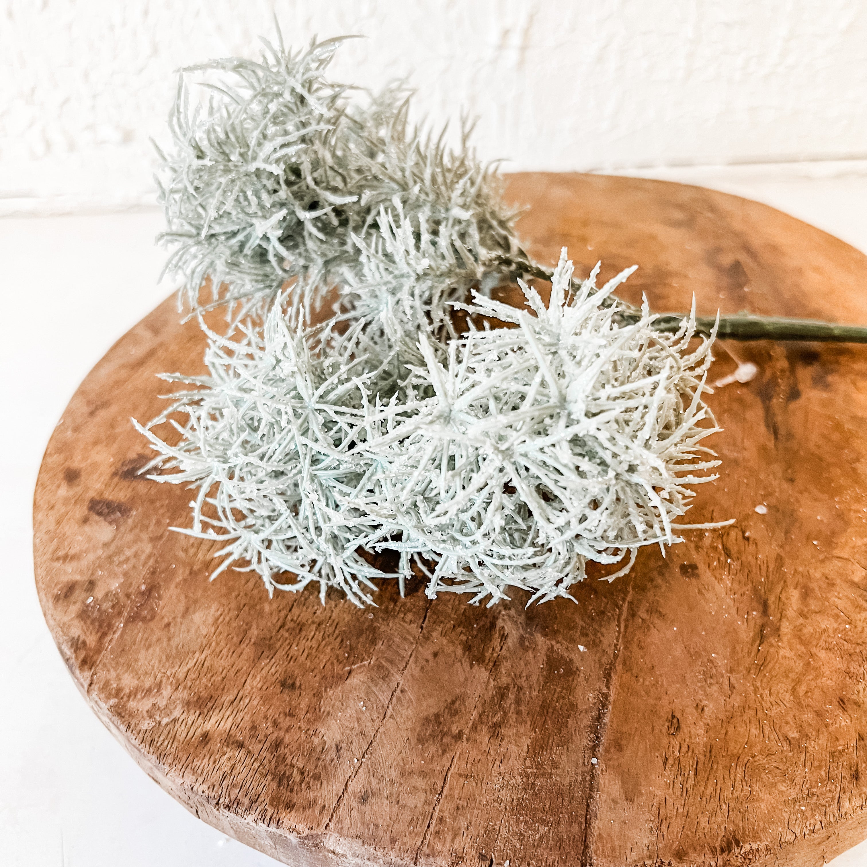 Frosted White Moss Bush Pick