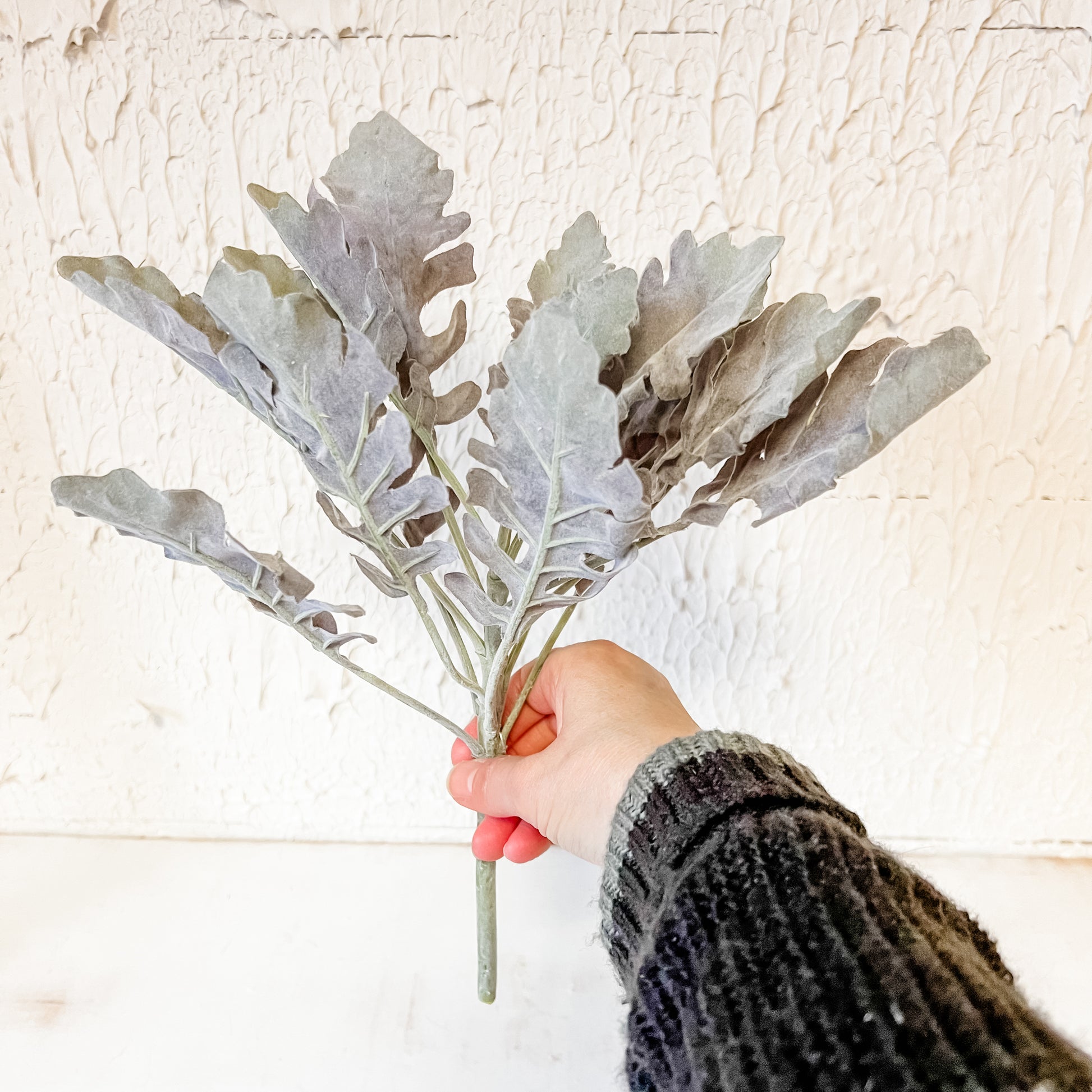 Green and purple 12” high dusty miller spray the rustic barn ct