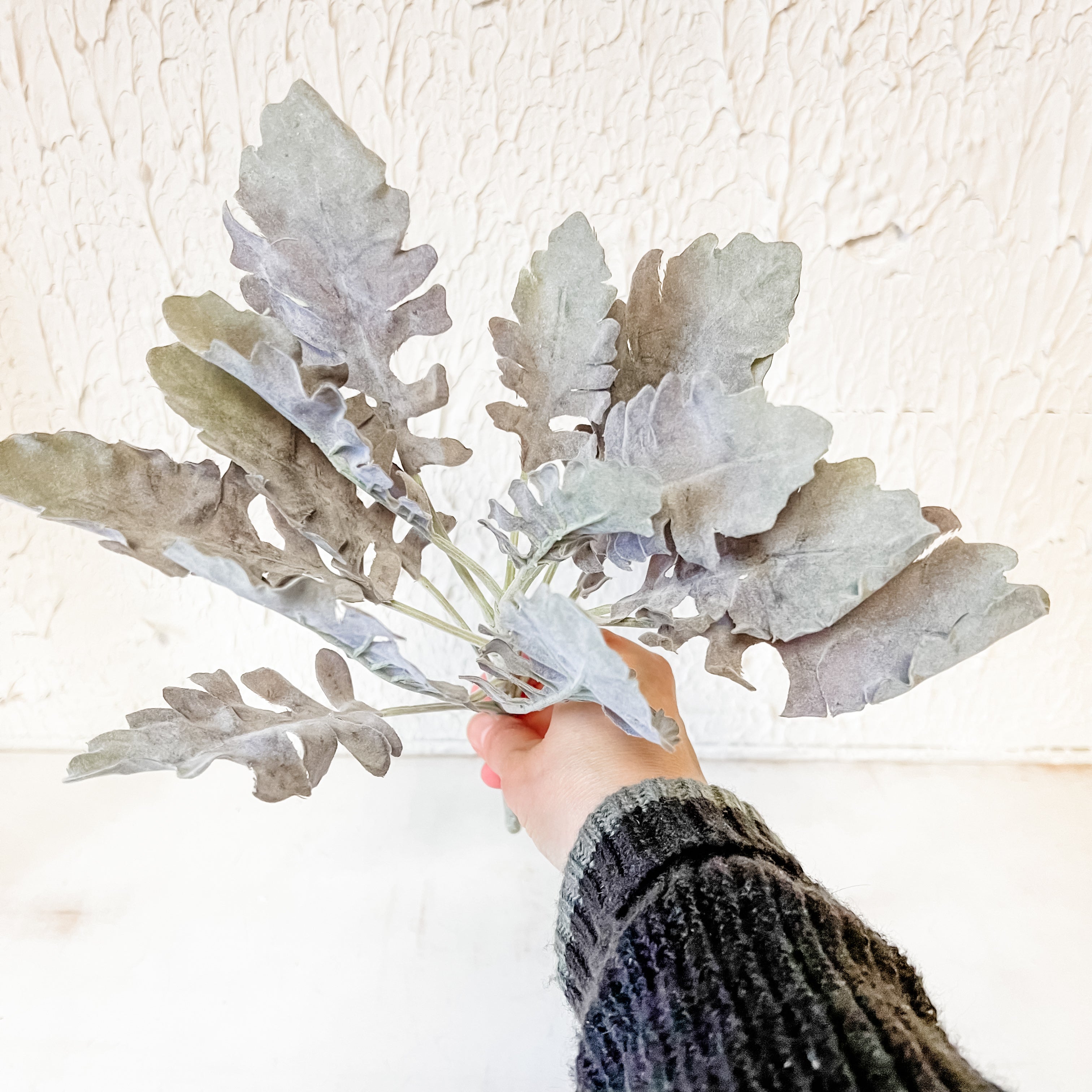 Dusty Miller Spray, Green & Purple