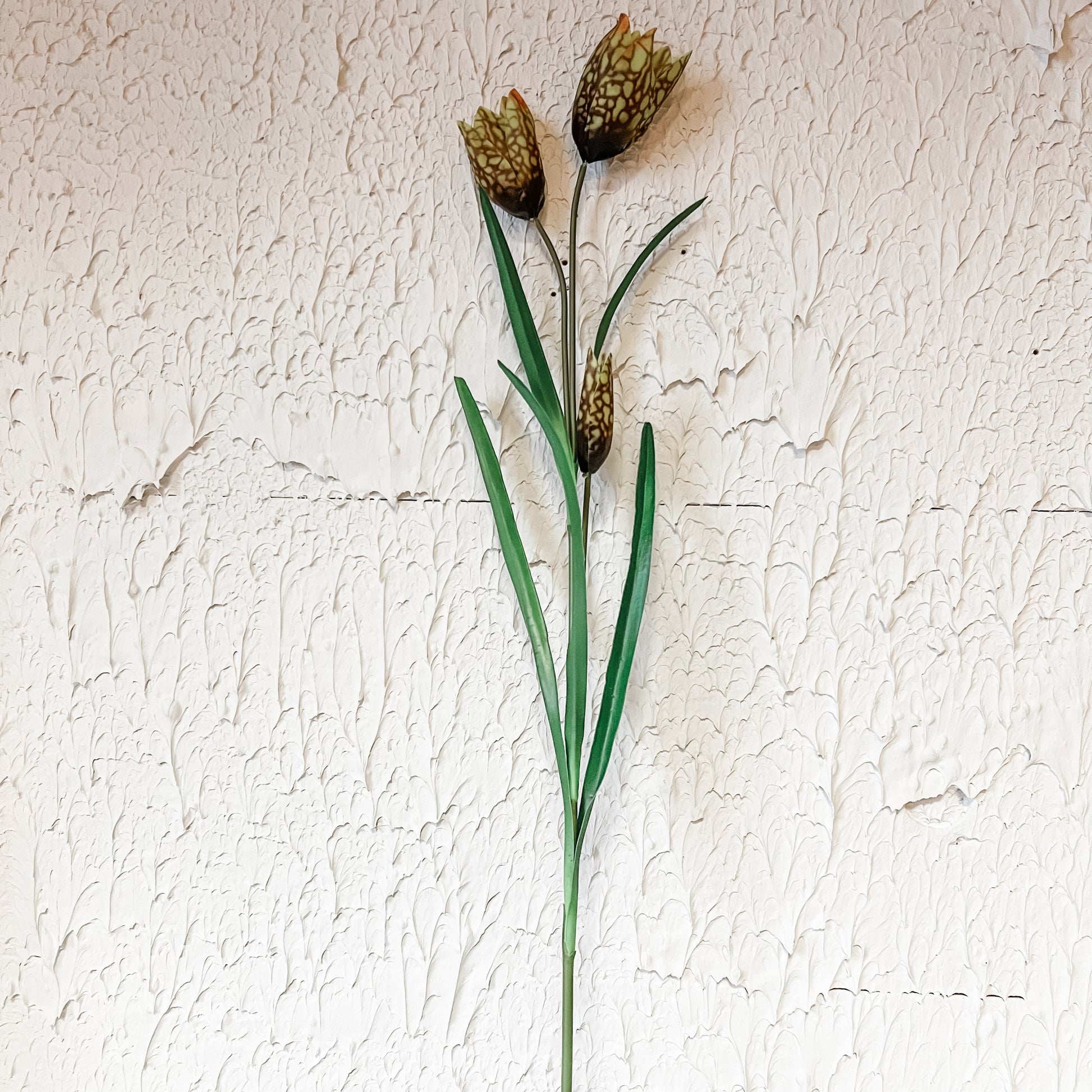 Fritillaria spray green color 27” high the rustic barn ct