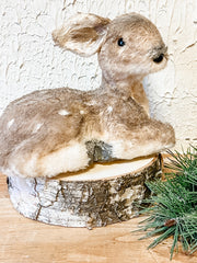 sparkling tan faux fur lying down fern at the rustic barn in killingworth ct