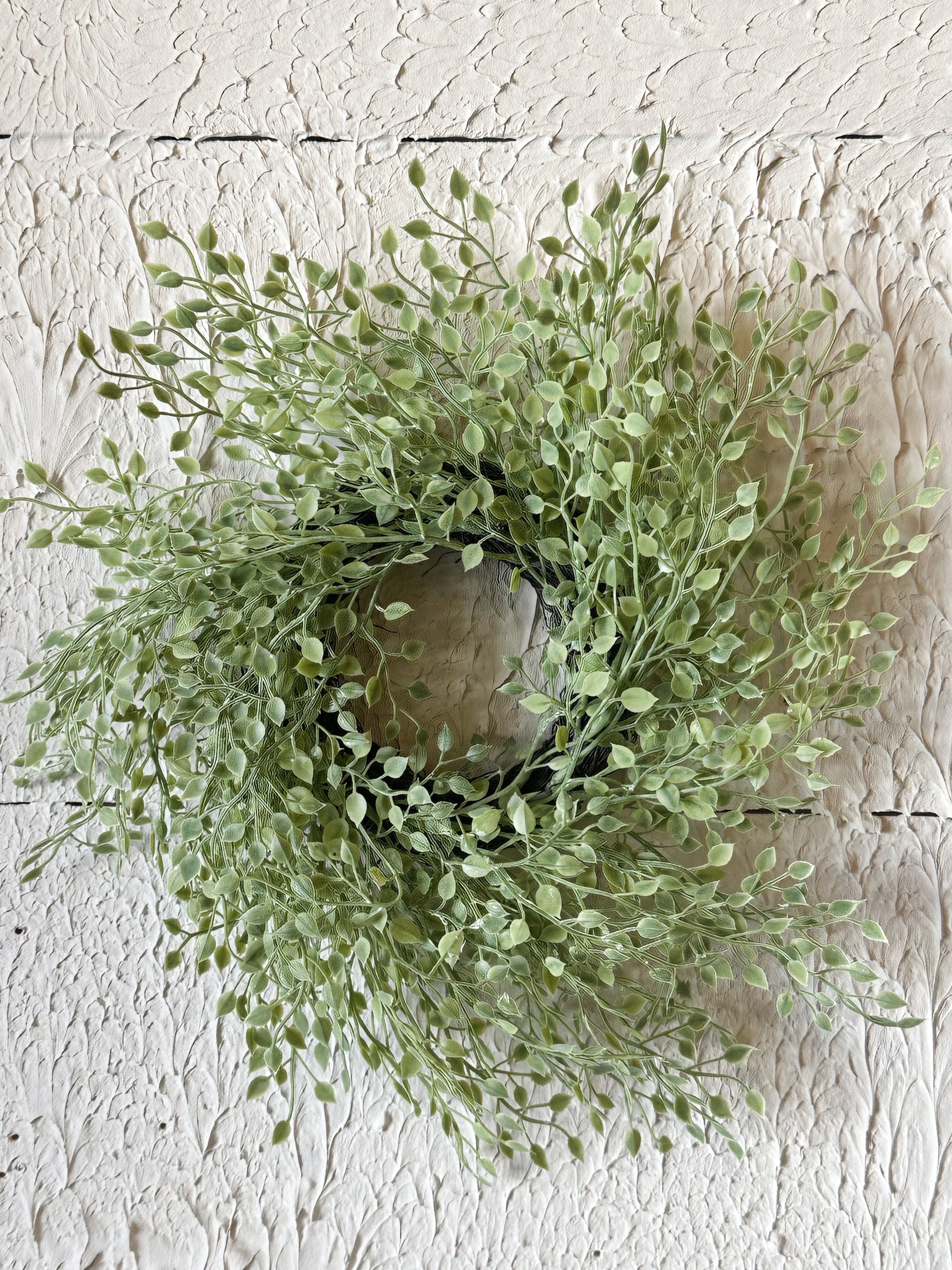 Baby Tears Greenery Candle Ring at the Rustic Barn in Killingworth, CT