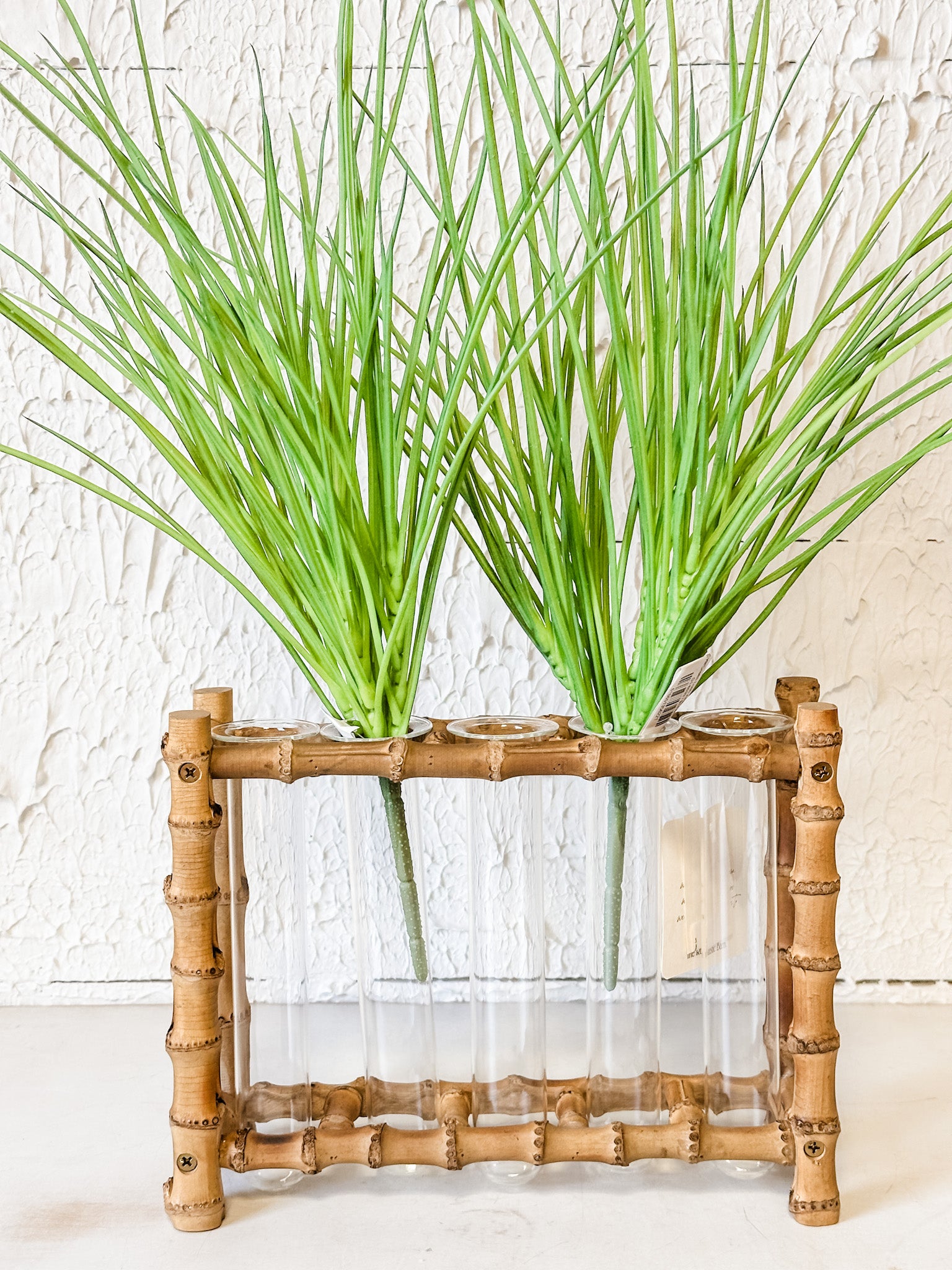 bamboo propagation station with glass tubes at the rustic barn in killingworth ct