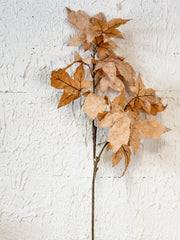beaded snowed maple leaf stem at the rustic barn in killingworth ct