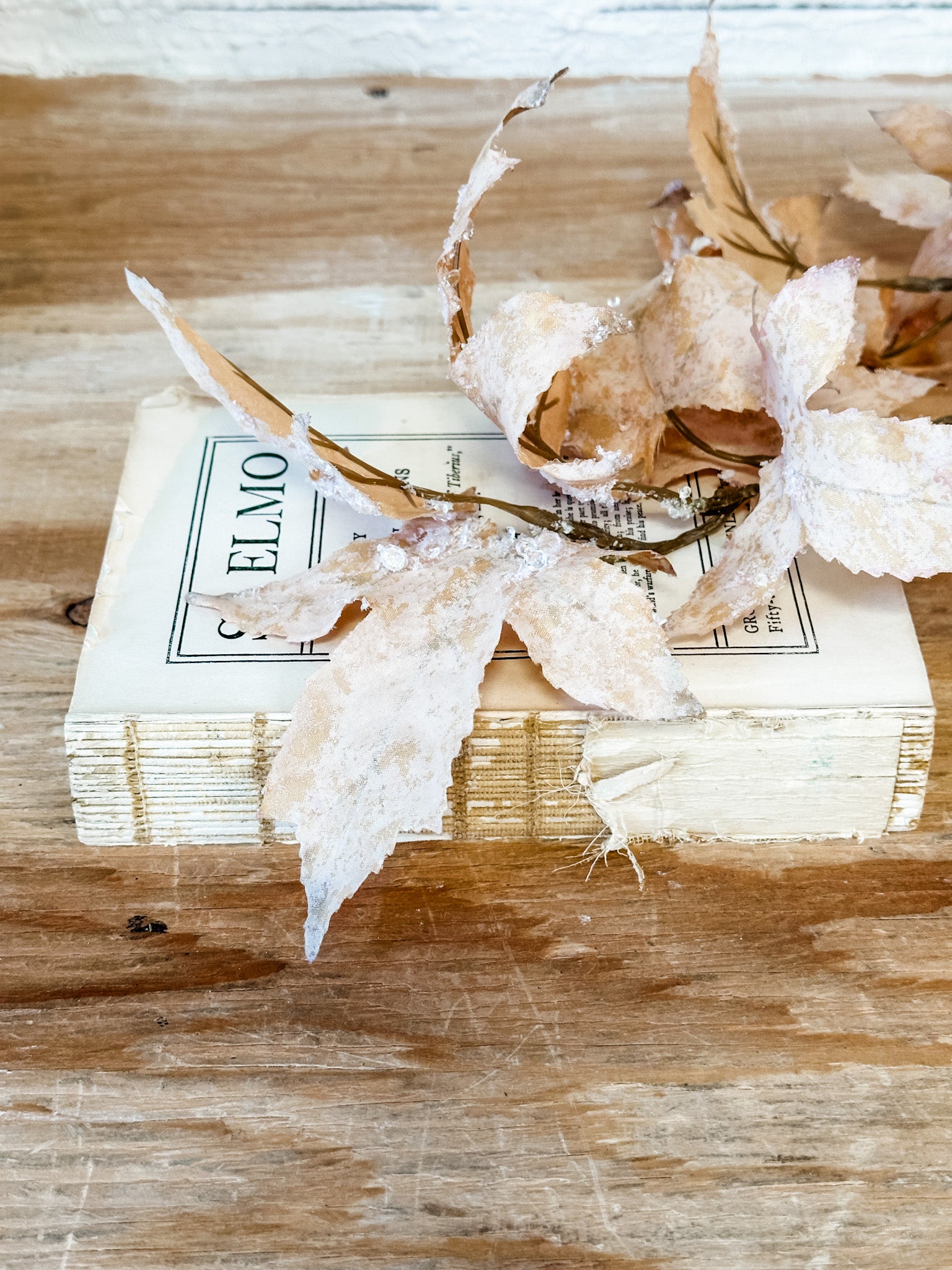 beaded snowed maple leaf stem at the rustic barn in killingworth ct
