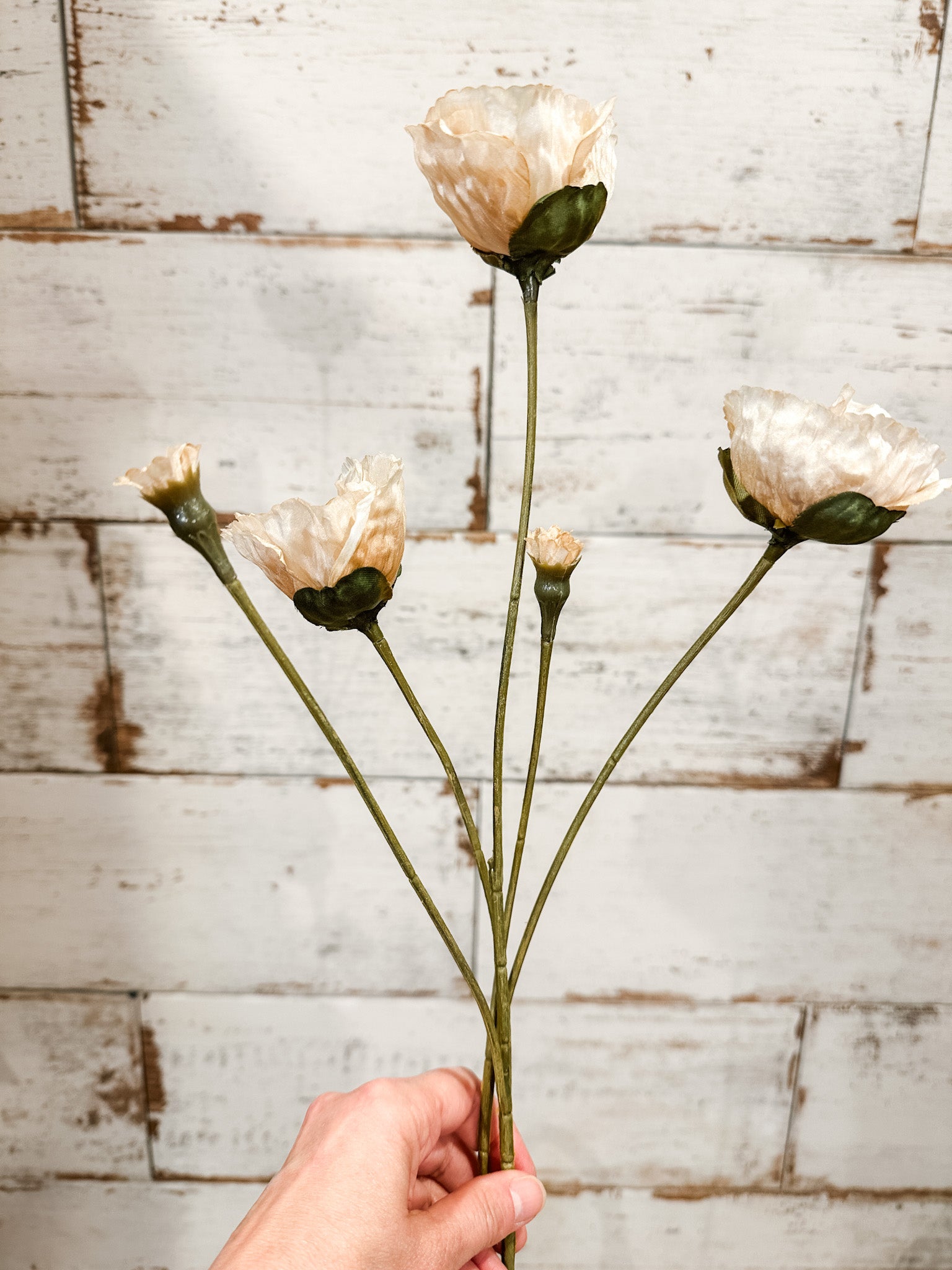 faux silk cream fall poppy long stem at the rustic barn in killingworth ct