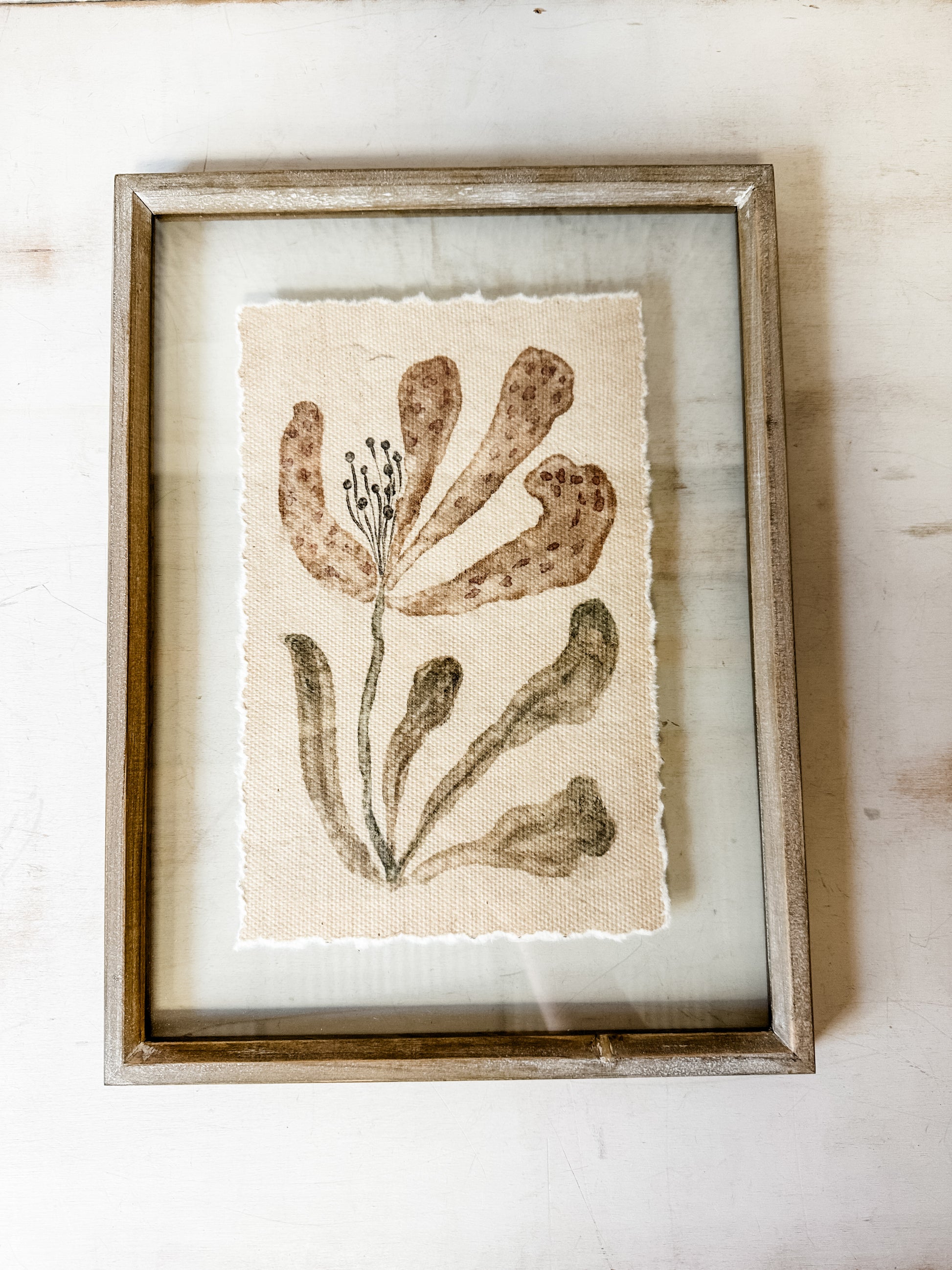 botanical bliss floral print in floating glass frame for sale at the rustic barn in killingworth, CT