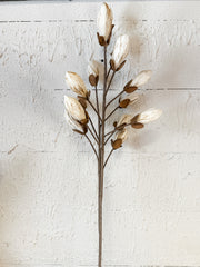 tall 38 inch botanical natural organic faux stem at the rustic barn in killingworth ct