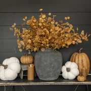 Brown & Yellow Eucalyptus Bundle
