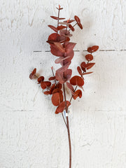 Eucalyptus Leaf Spray, Burgundy
