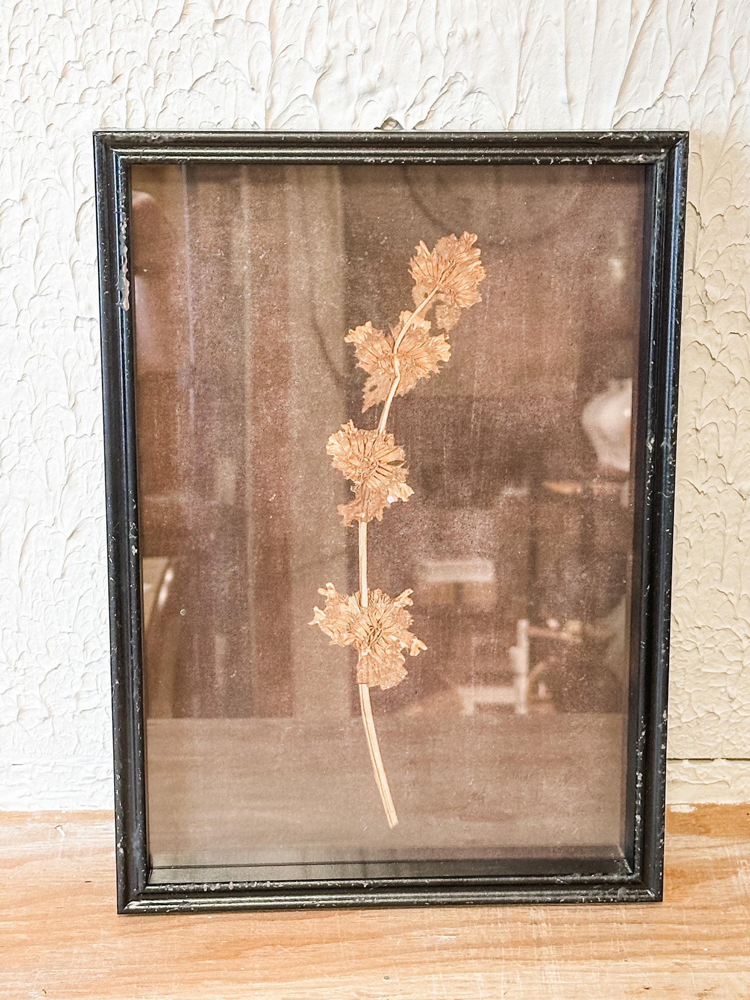earthy black framed botanical wall decor at the rustic barn in killingworth ct