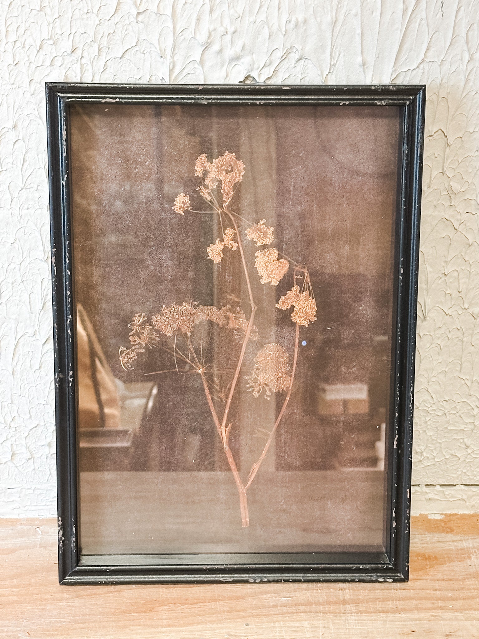 earthy black framed botanical wall decor at the rustic barn in killingworth ct