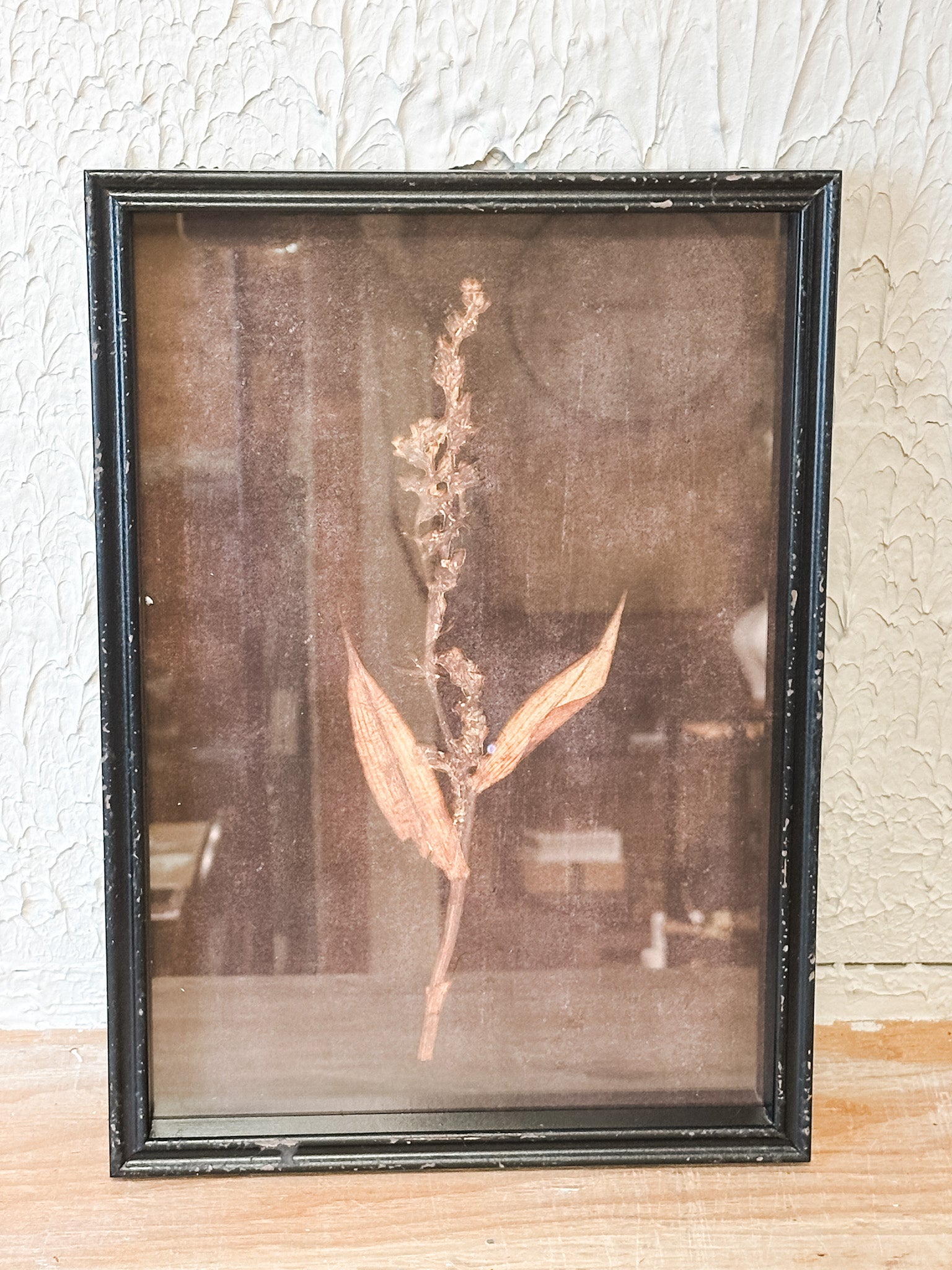 earthy black framed botanical wall decor at the rustic barn in killingworth ct