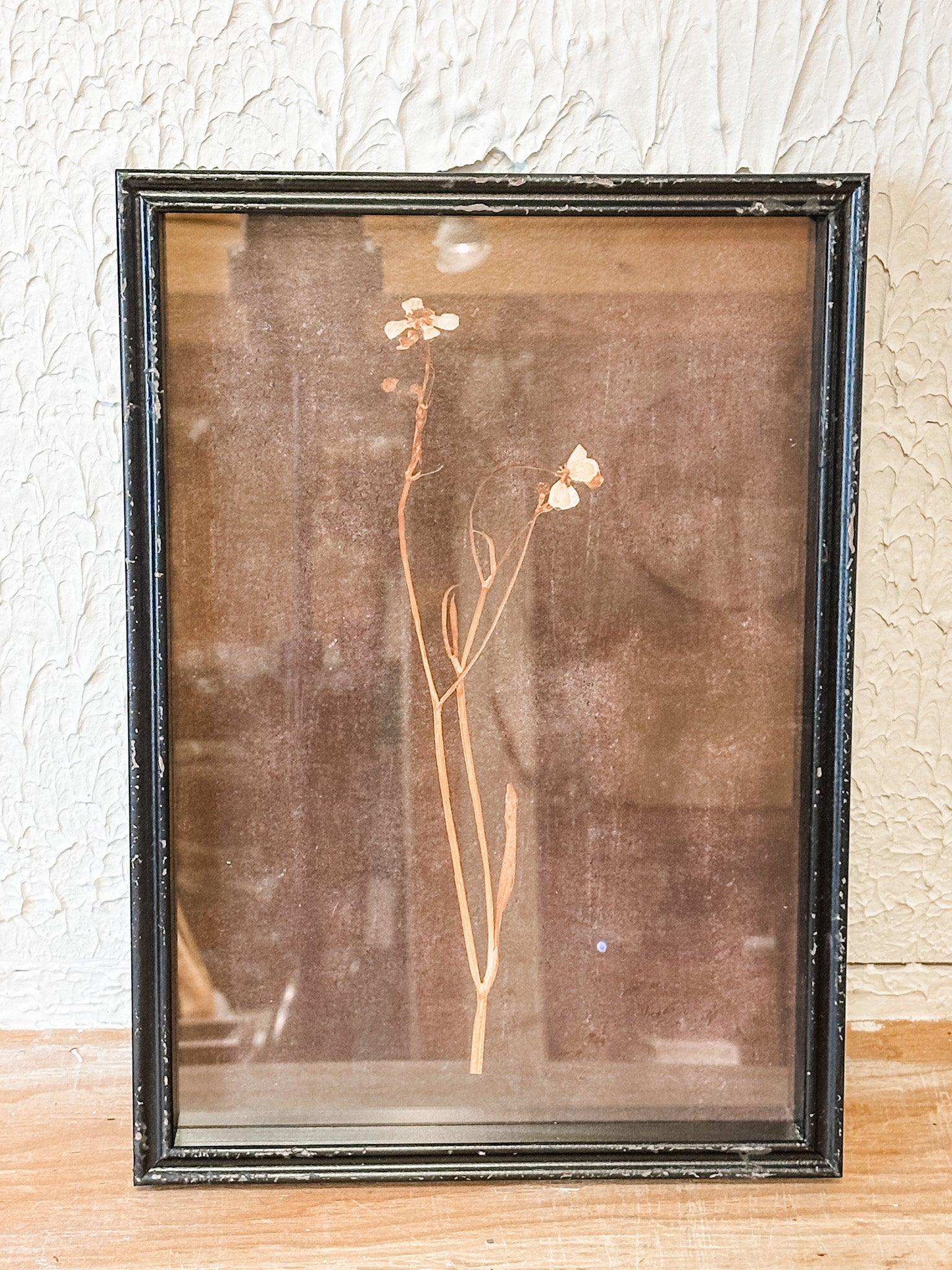 earthy black framed botanical wall decor at the rustic barn in killingworth ct