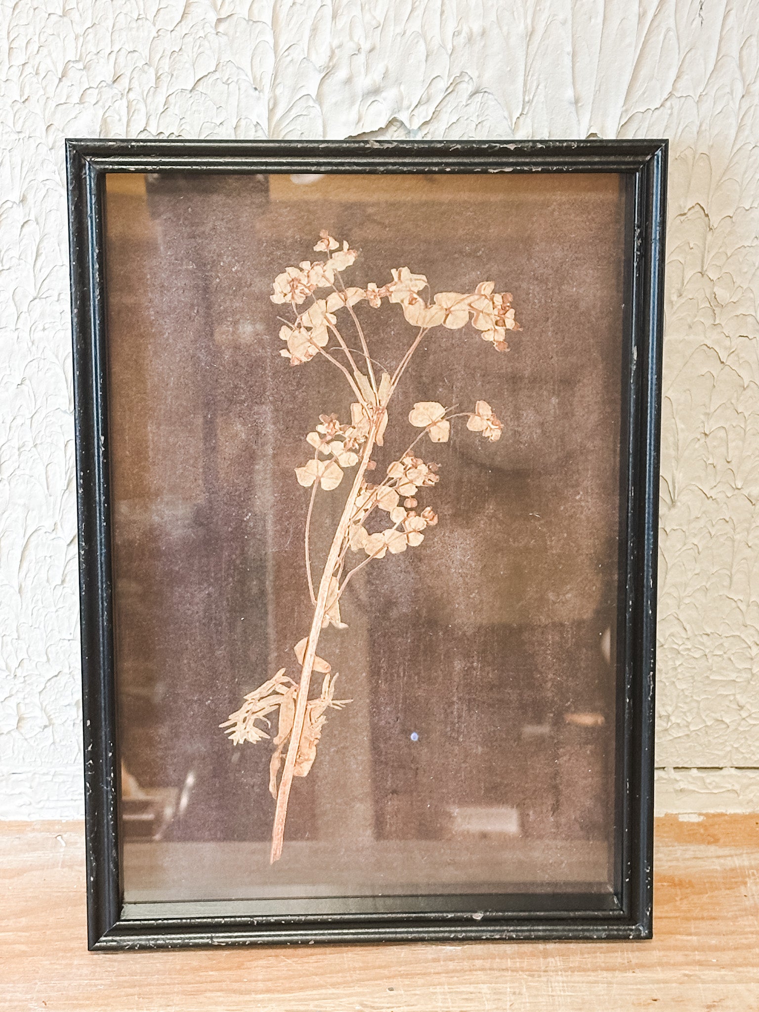 earthy black framed botanical wall decor at the rustic barn in killingworth ct