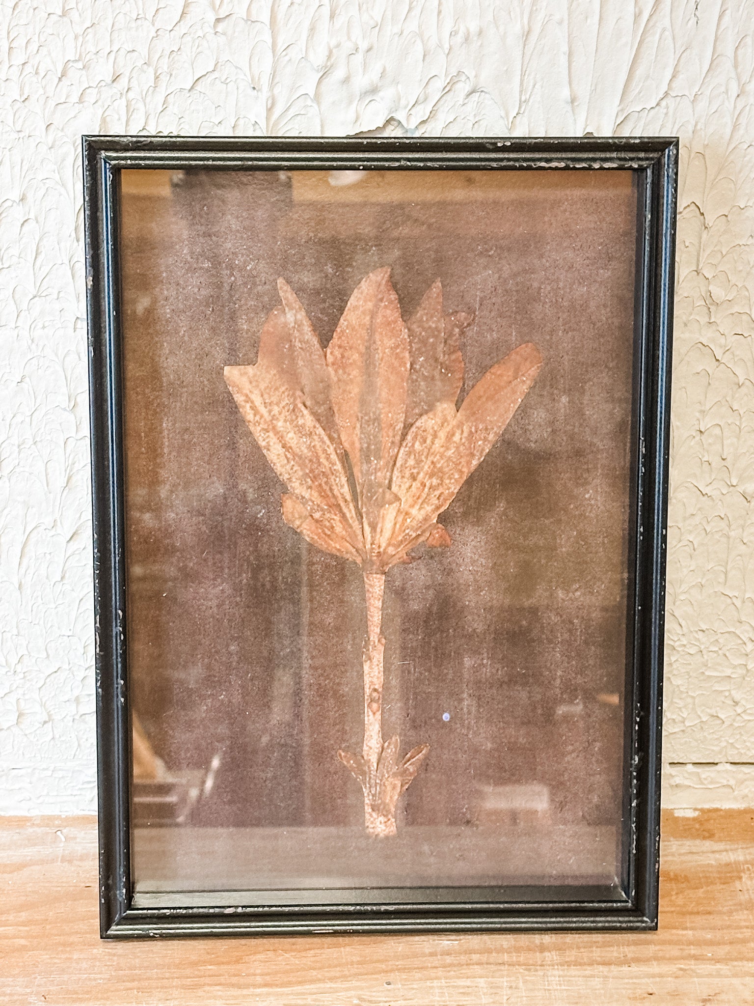 earthy black framed botanical wall decor at the rustic barn in killingworth ct