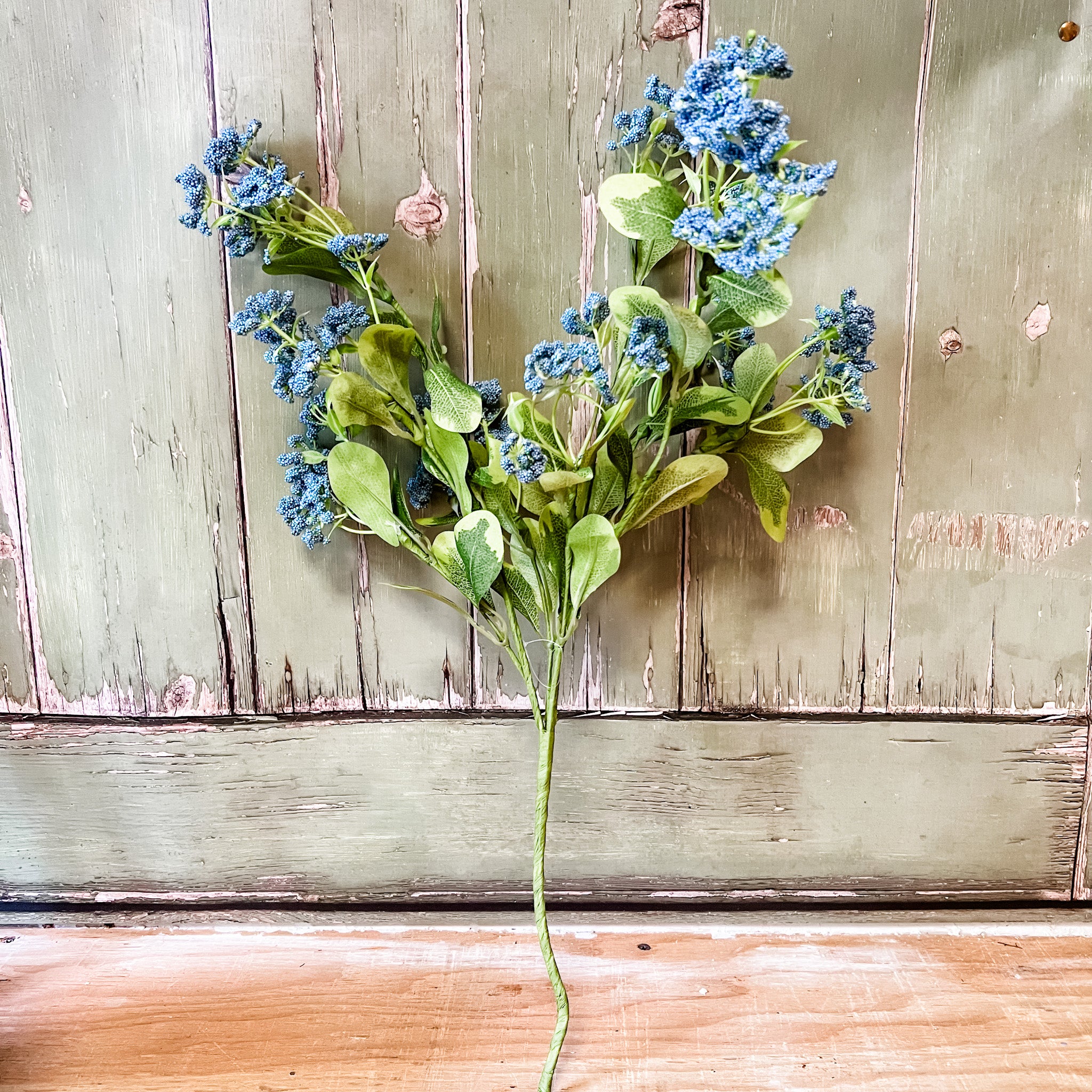 21" Gypsum Blue Bush