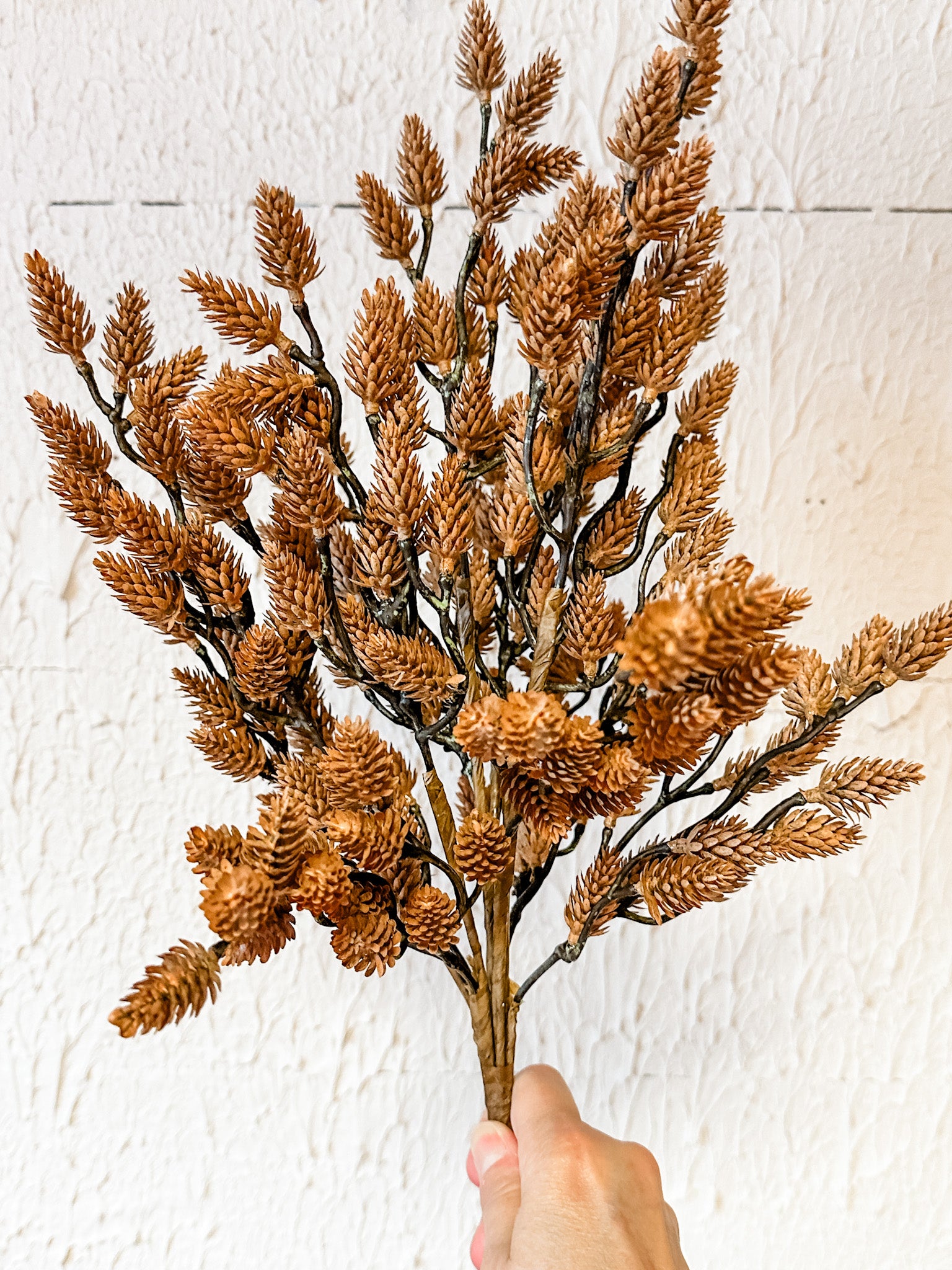 fall brown pinecone bush stem at the rustic barn in killingworth ct