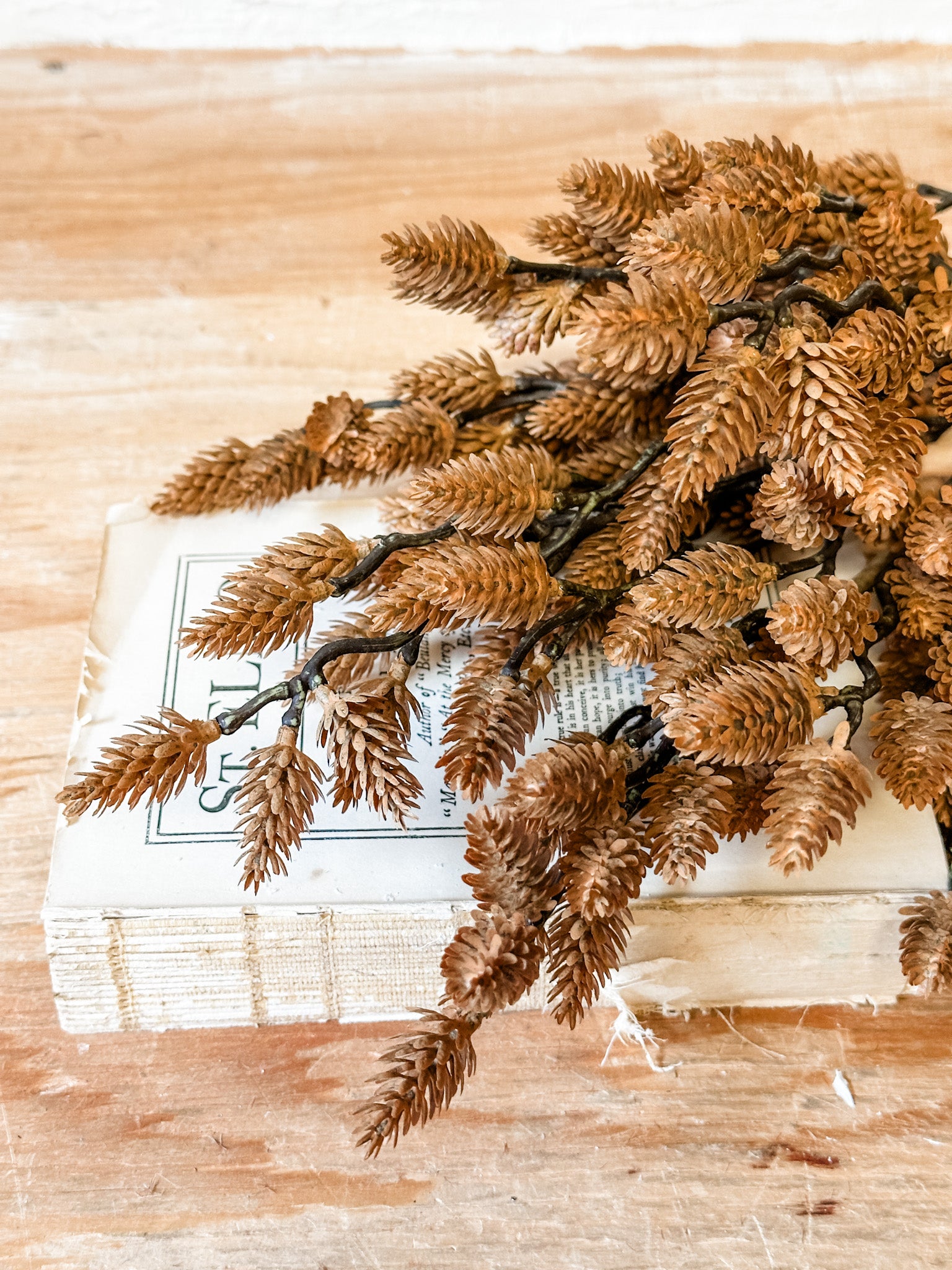 fall brown pinecone bush stem at the rustic barn in killingworth ct
