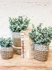 Artificial Eucalyptus Plants in Hand-Woven Boho Pots