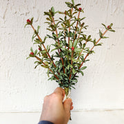faux green floral stems with buds at the rustic barn in Killingworth ct