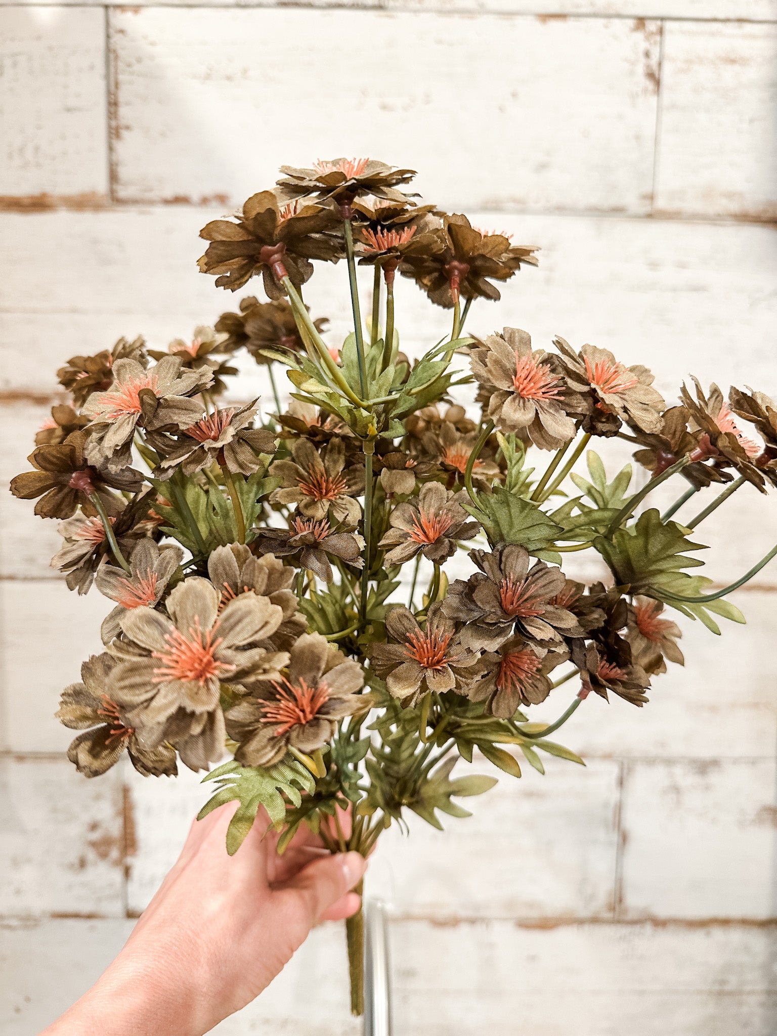 fall silk olive color cosmos stem at the rustic barn in killingworth ct
