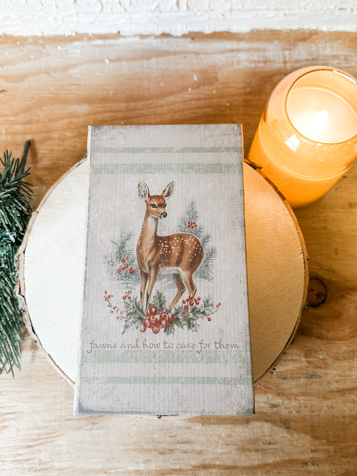 fawns and how to care for them journal for christmas at the rustic barn in killingworth, CT