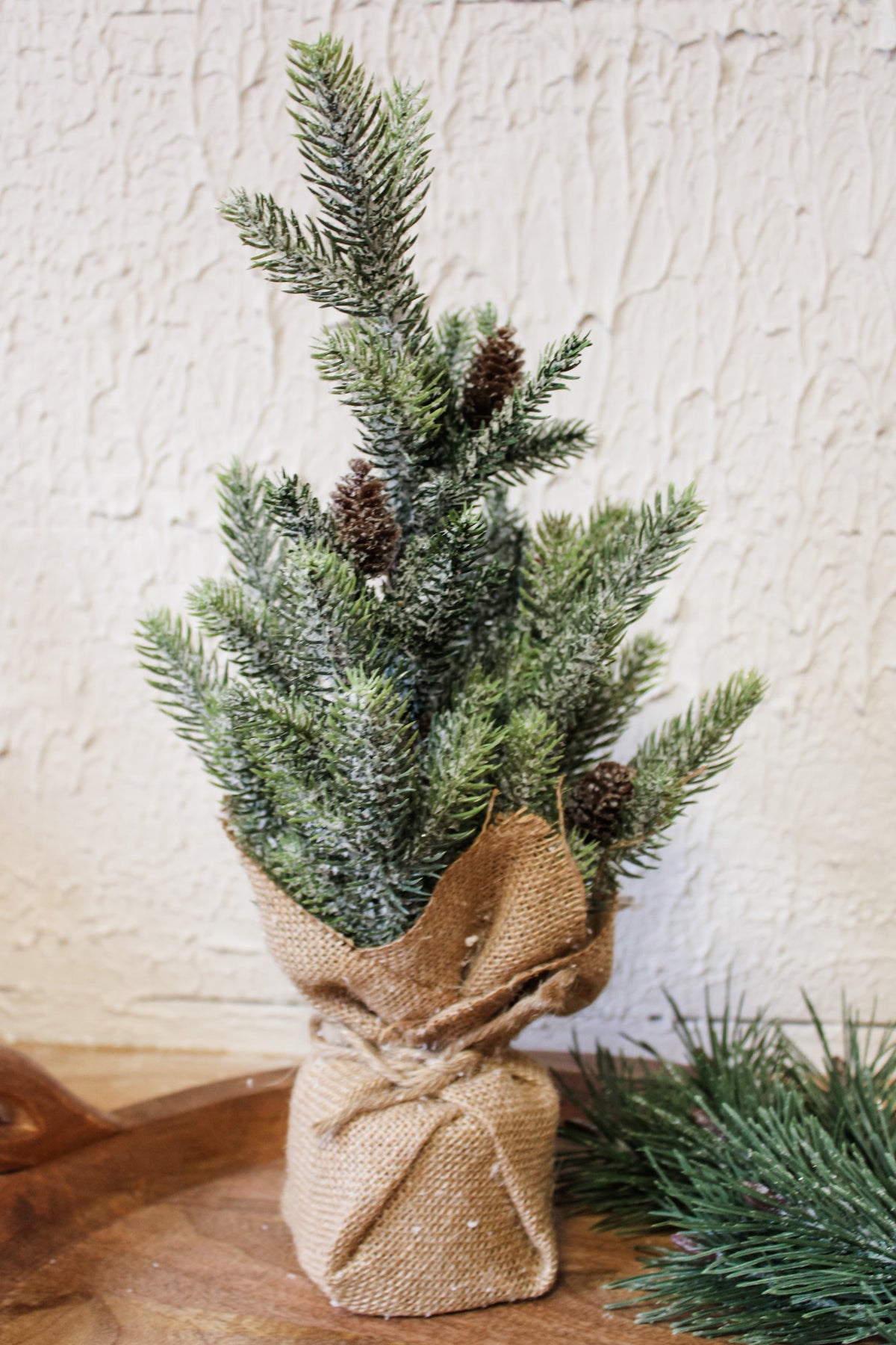 Frosted mini pine christmas tree with burlap base for the holidays and winter decor piece cute for sale at the rustic barn in killingworth, CT