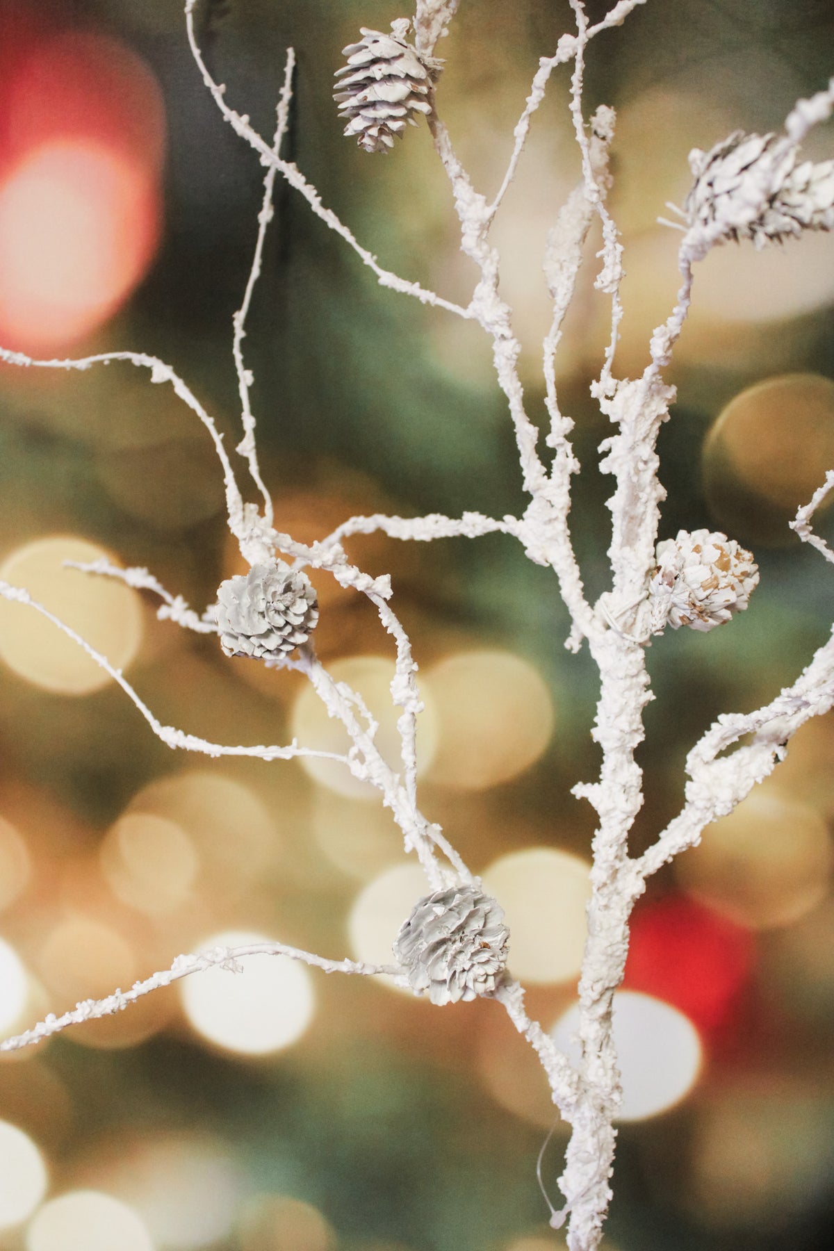 Frosted winter twig  white natural pinecone for christmas floral for sale at the rustic barn in Killingworth, CT