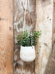 ceramic hanging planter set Hanging Ceramic Patterned Planter