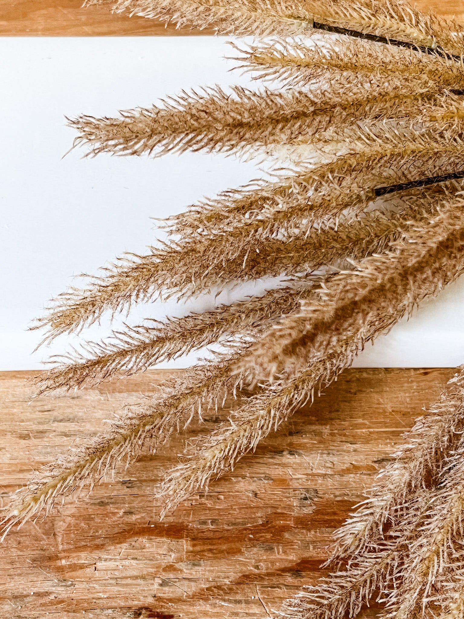 lightly flocked cattail spray 30 inches at the rustic barn in killingworth ct