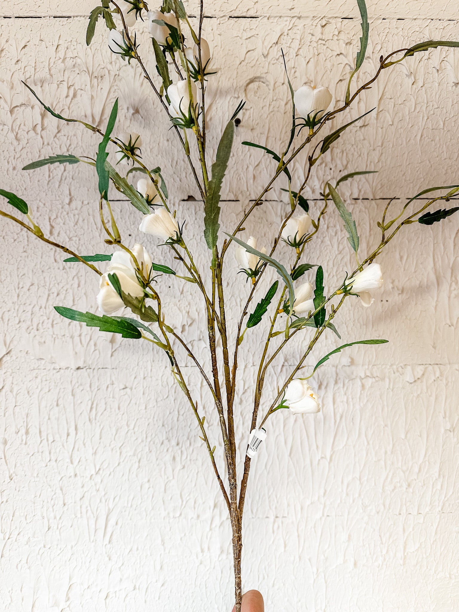 long stem white lantern spray at the rustic barn in killingworth ct