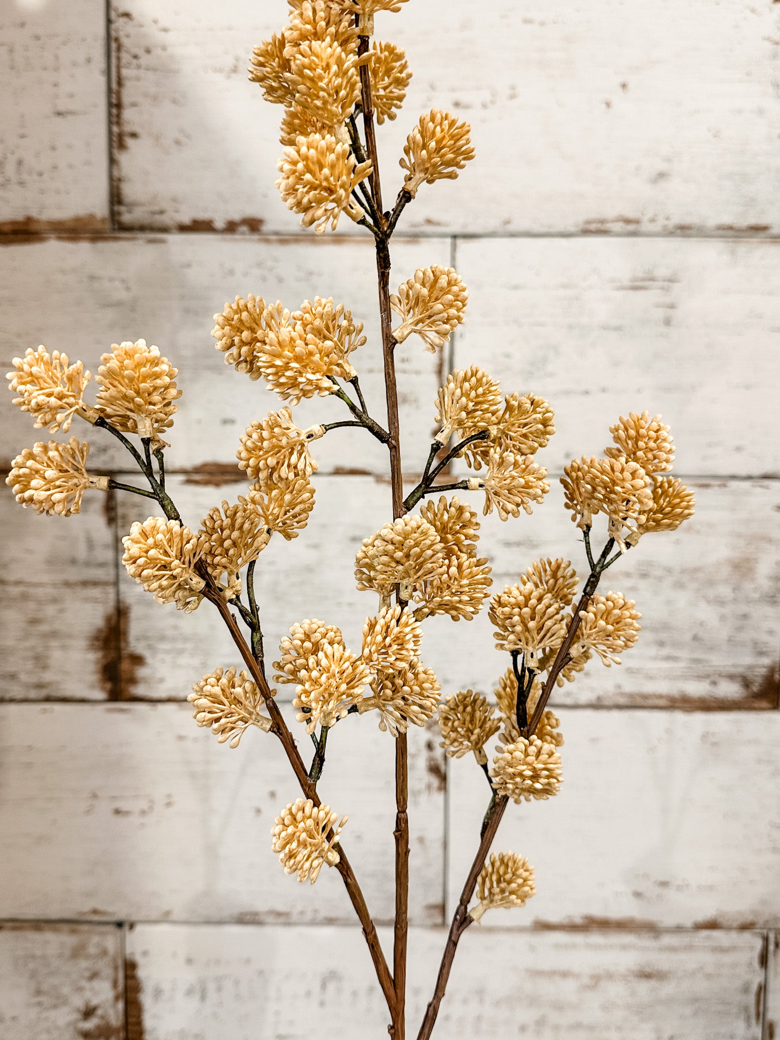 long stem faux cream fall sedum spray at the rustic barn in killingworth ct