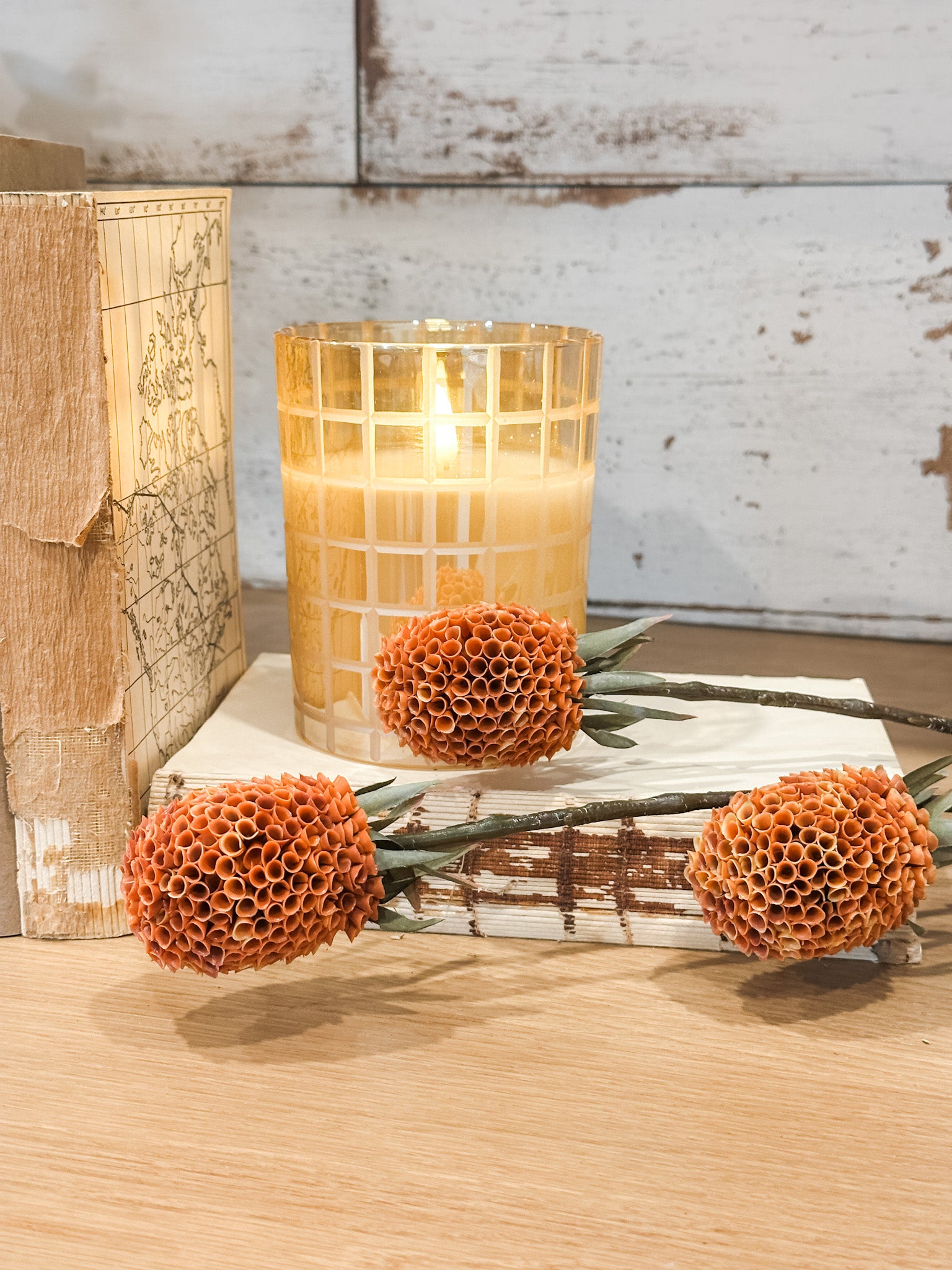 long stem fall banksia stem at the rustic barn in killingworth ct
