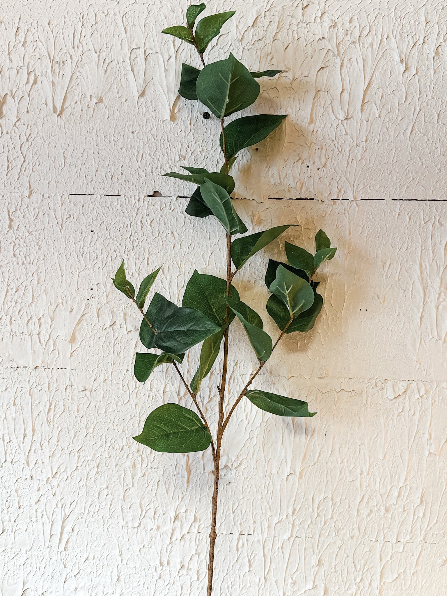 long stem lemon leaf spray at the rustic barn in killingworth ct