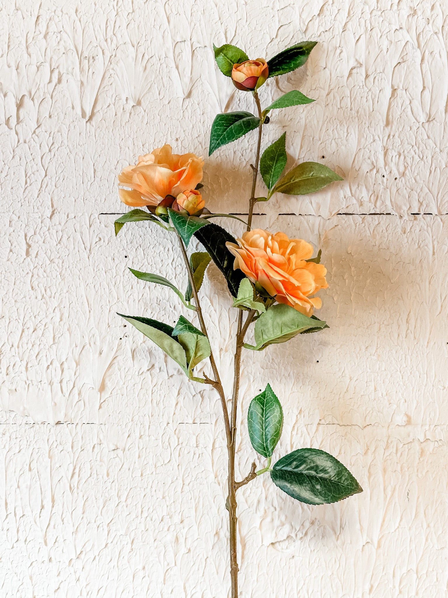 long stem yellow color camellia stem at the rustic barn in killingworth ct