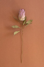 long stem pink botanical spring stem at the rustic barn in Killingworth ct